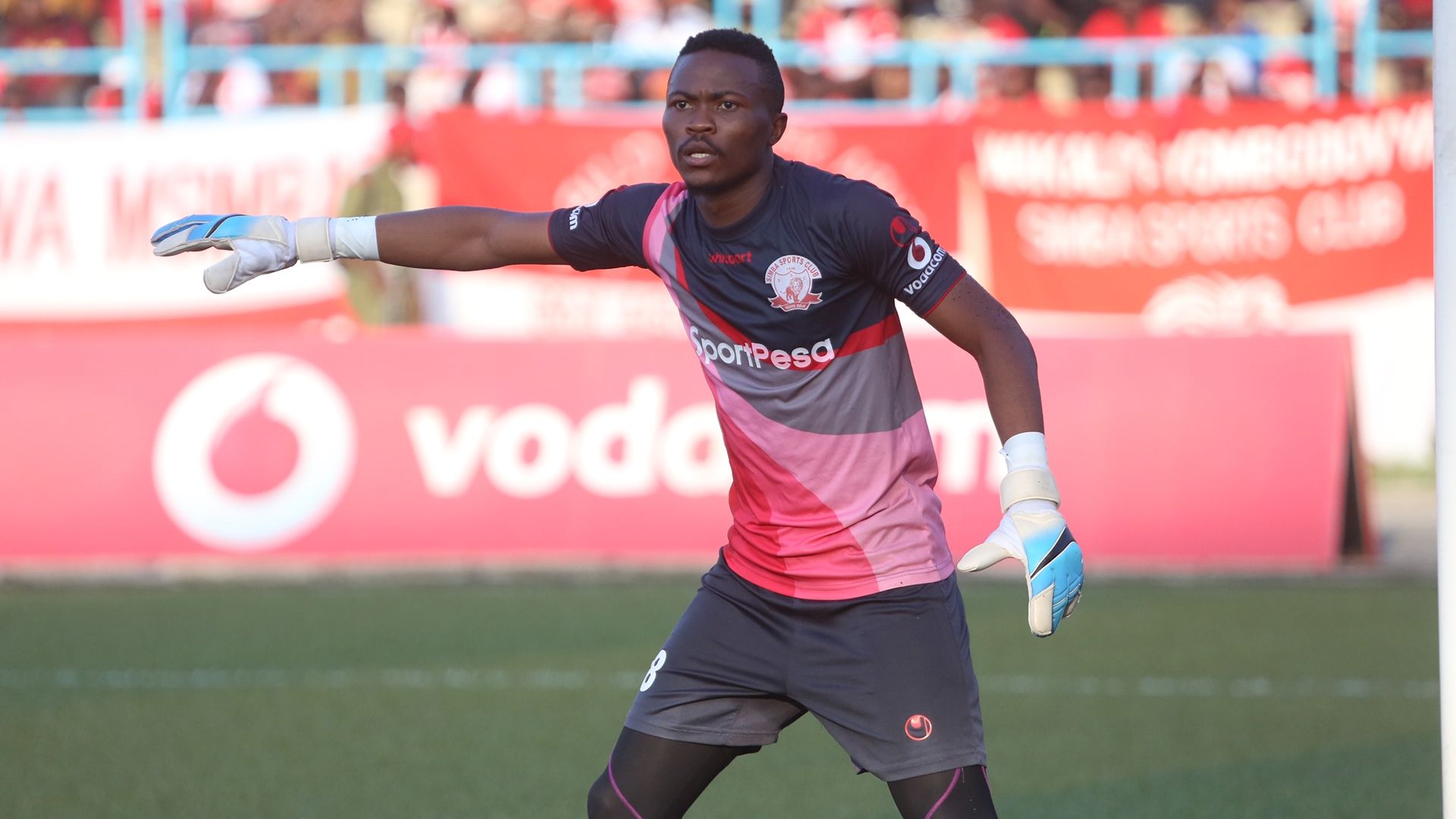 13ka8rl8t6svv18tyvfrcys16m