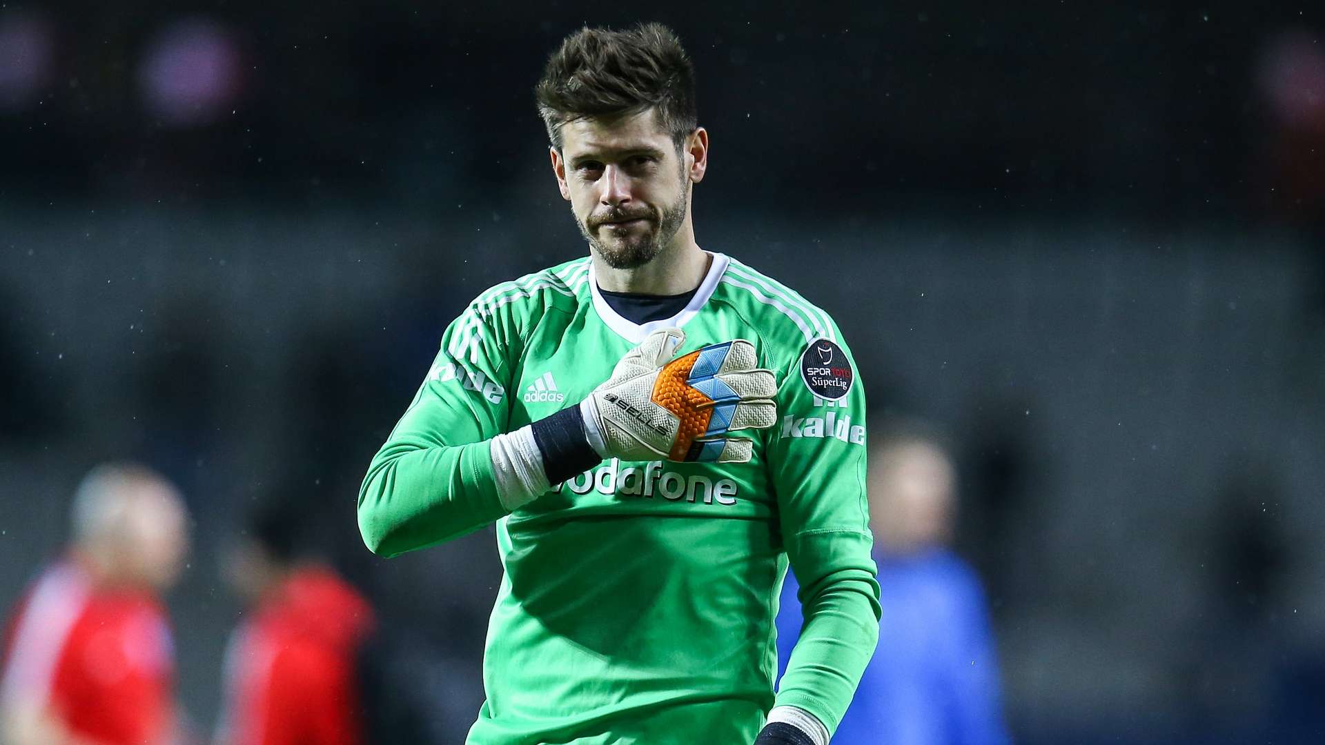 Fabri Besiktas