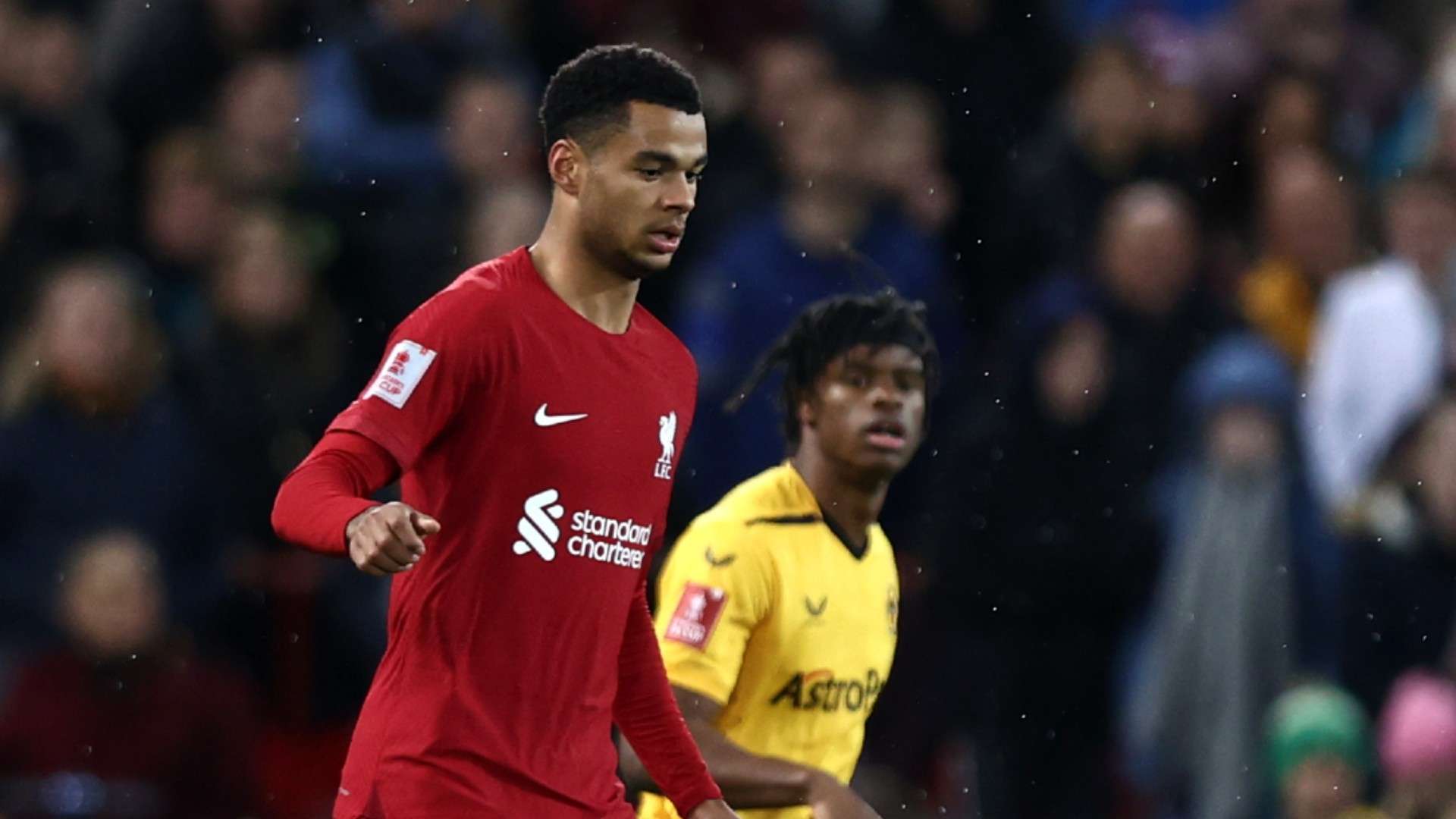 Gakpo Liverpool Wolves 0123