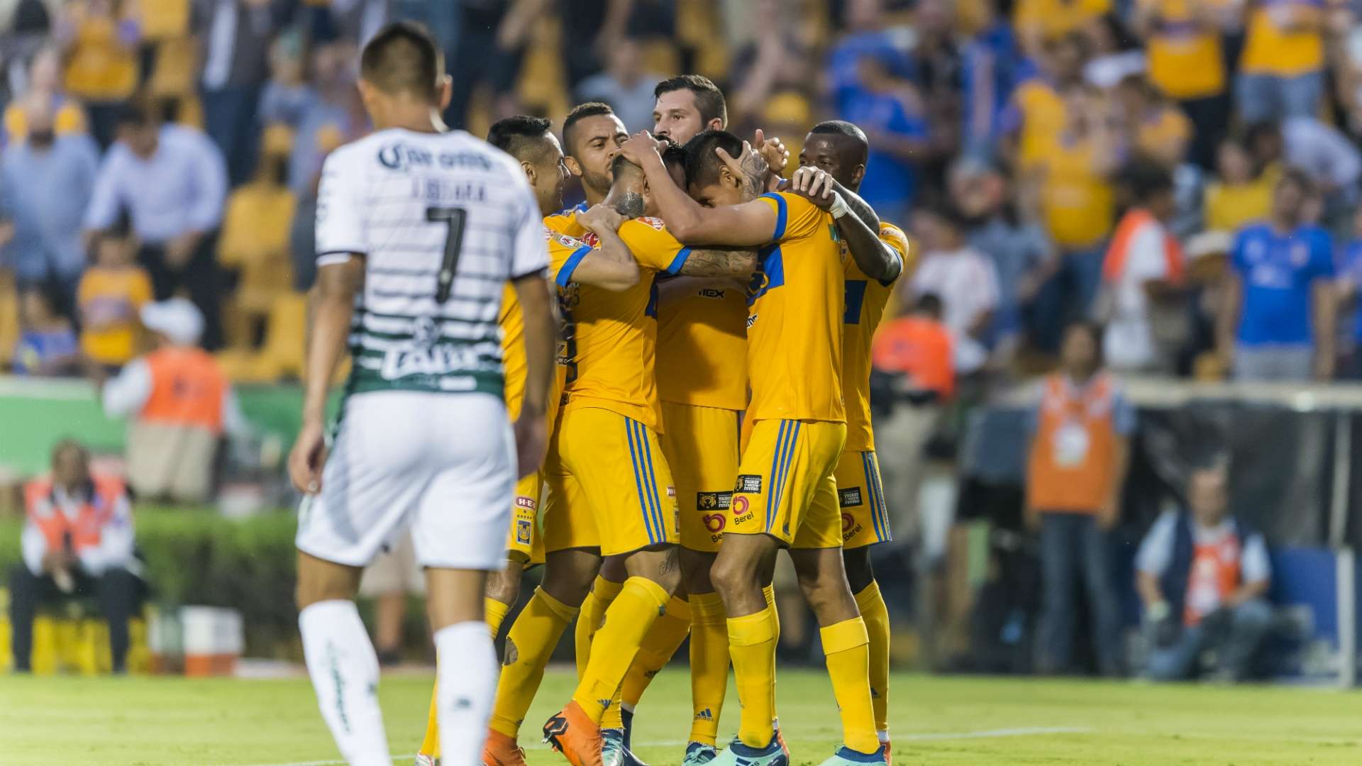 Tigres