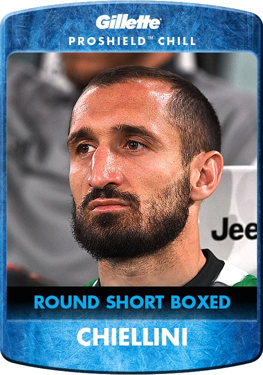 Proshield Chiellini