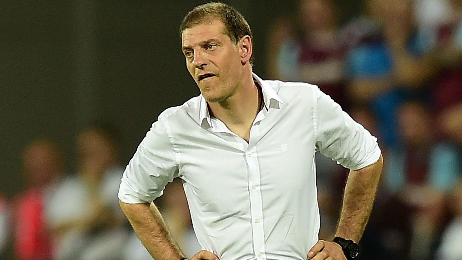 SlavenBilic - Cropped