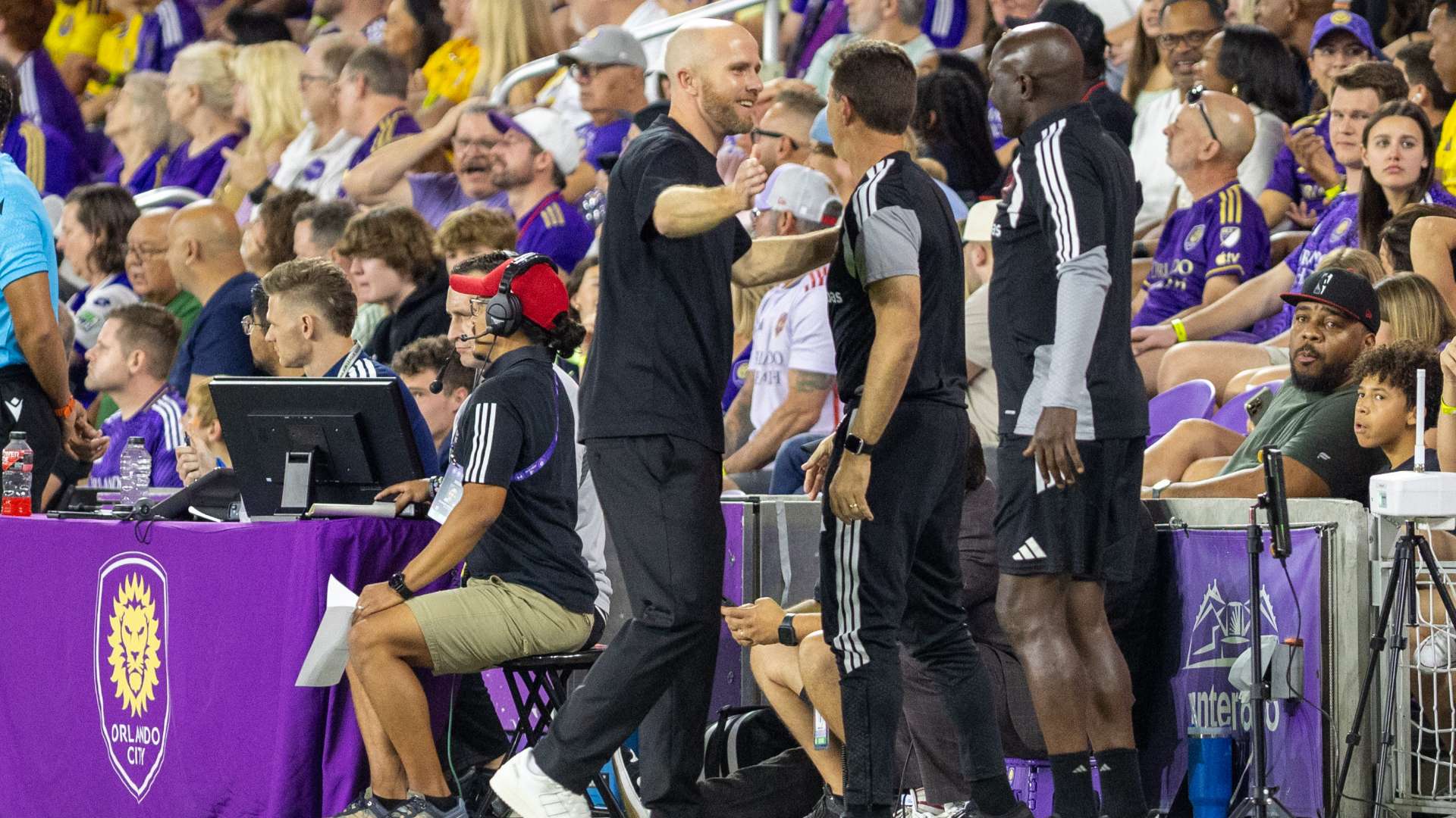 Michael Bradley NYRB