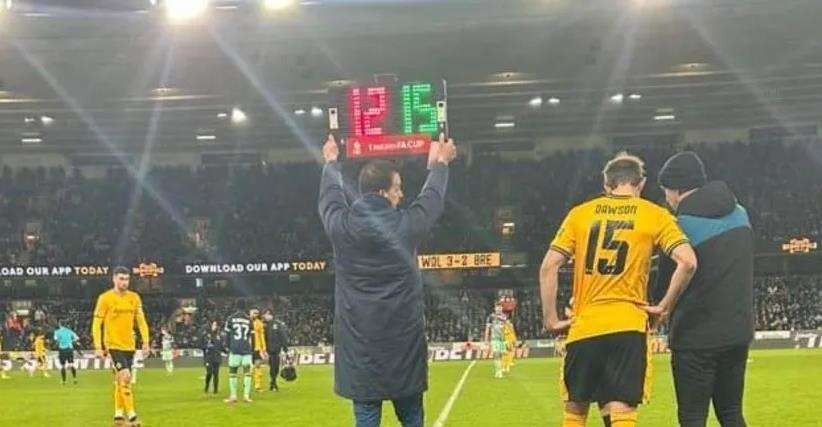 Brentford Wolves Referee