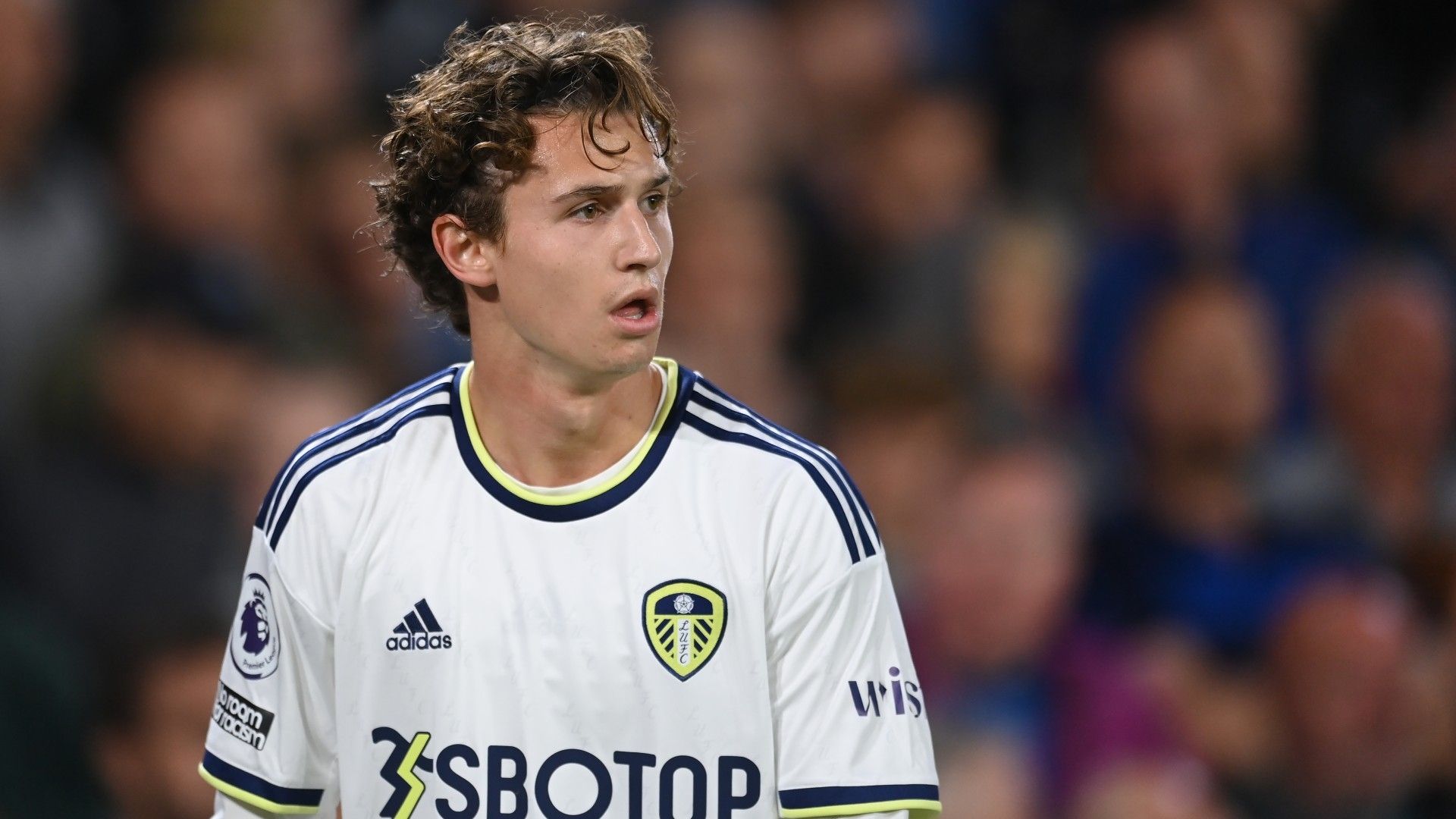 Brenden Aaronson Leeds 2022-23