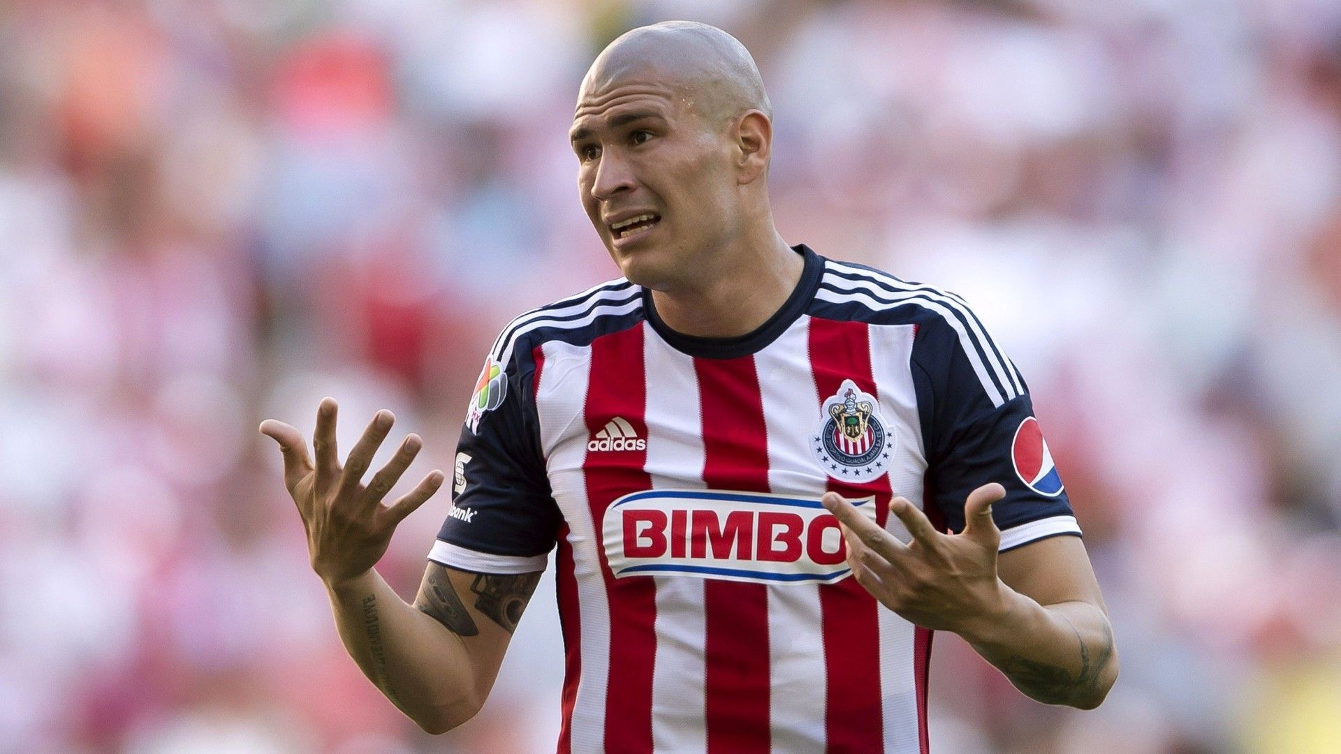 Jorge Chatón Enríquez Chivas