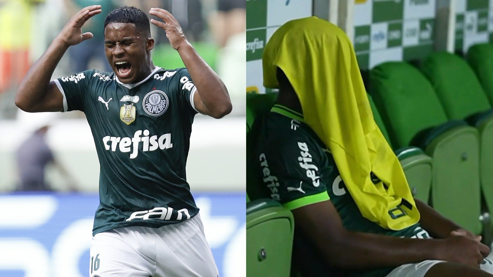 Endrick Palmeiras
