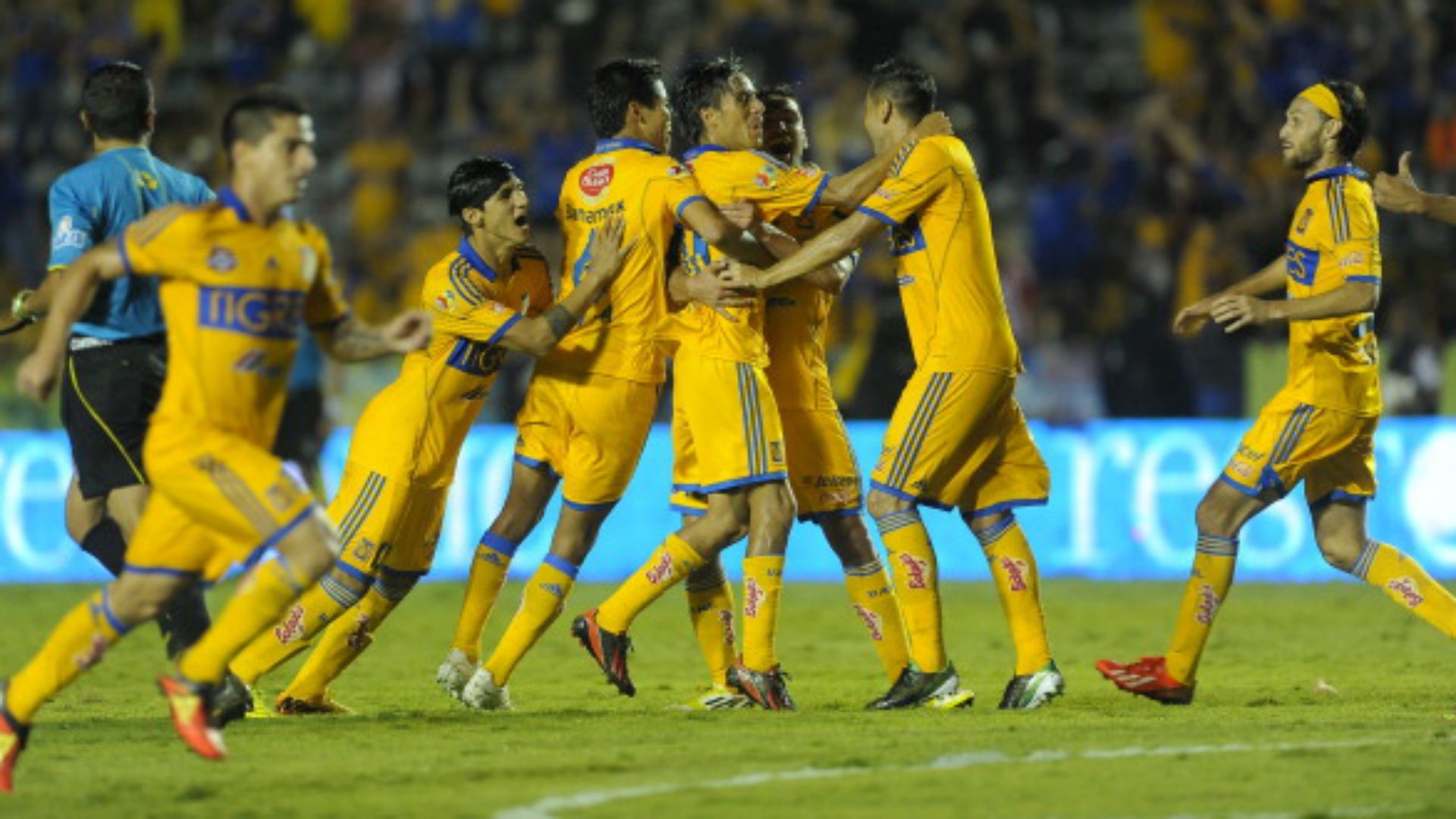 Tigres