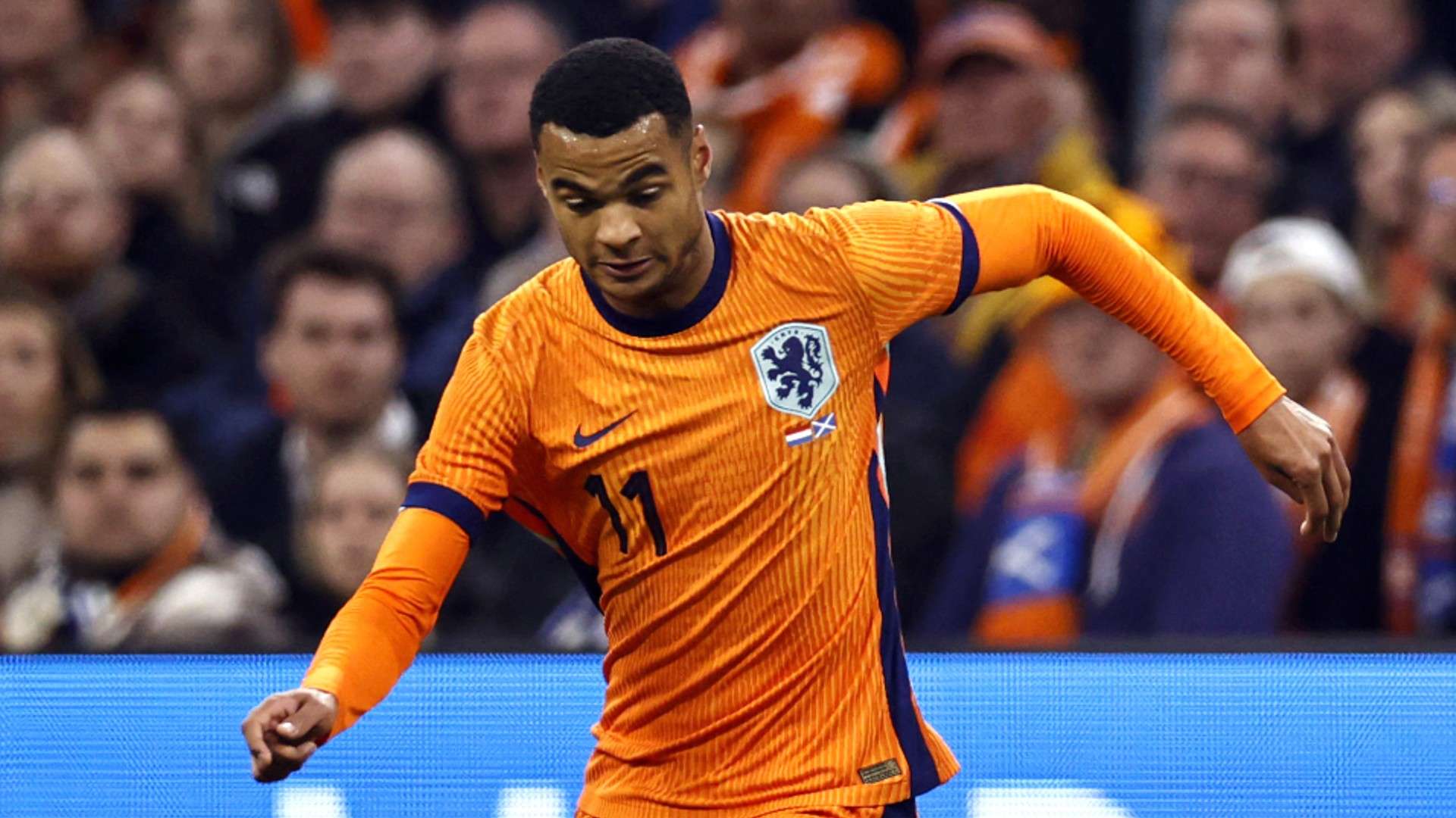 Cody GAKPO netherlands-20240322