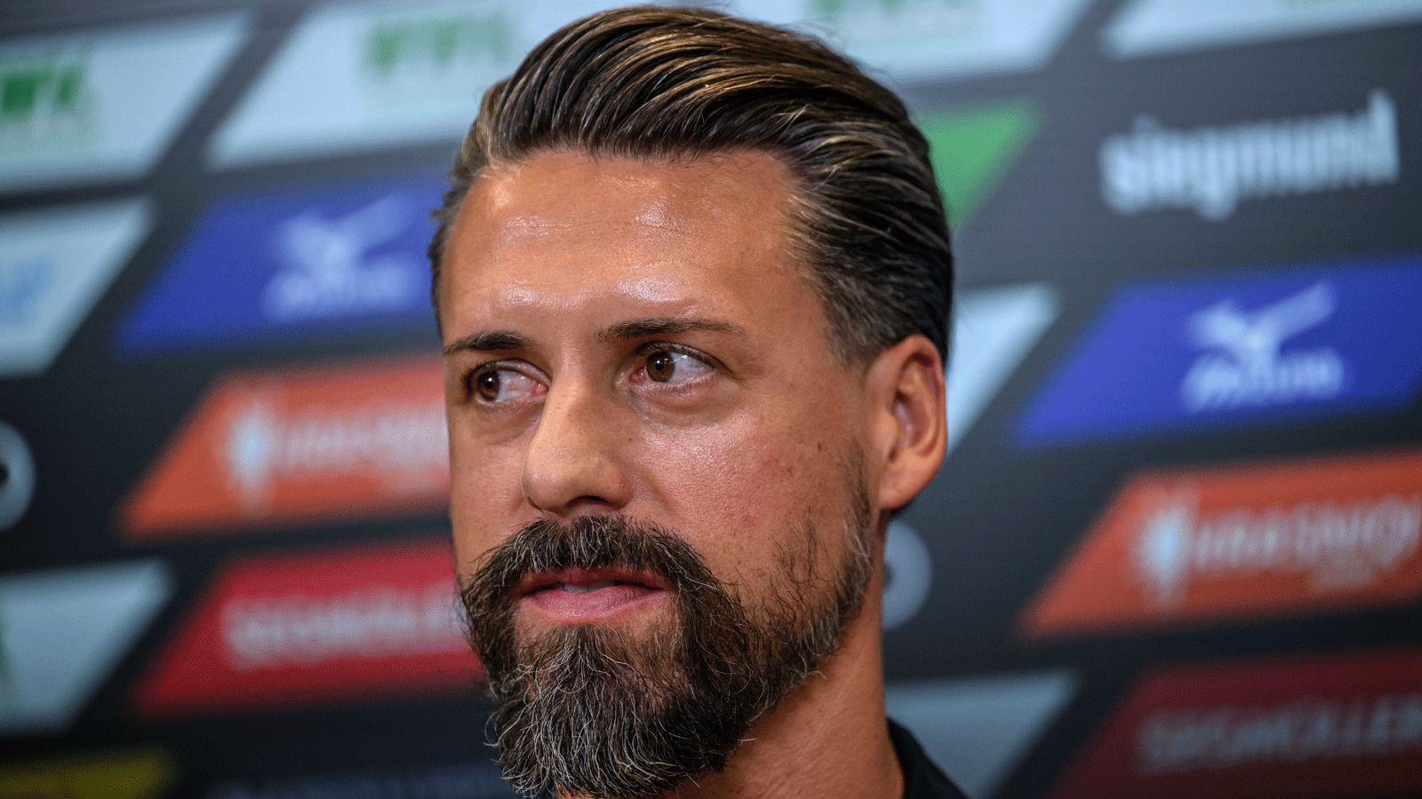 Sandro Wagner