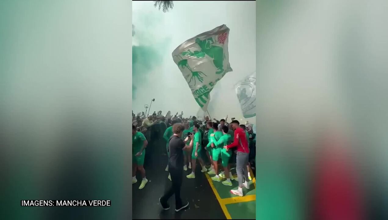 Festa da torcida do Palmeiras