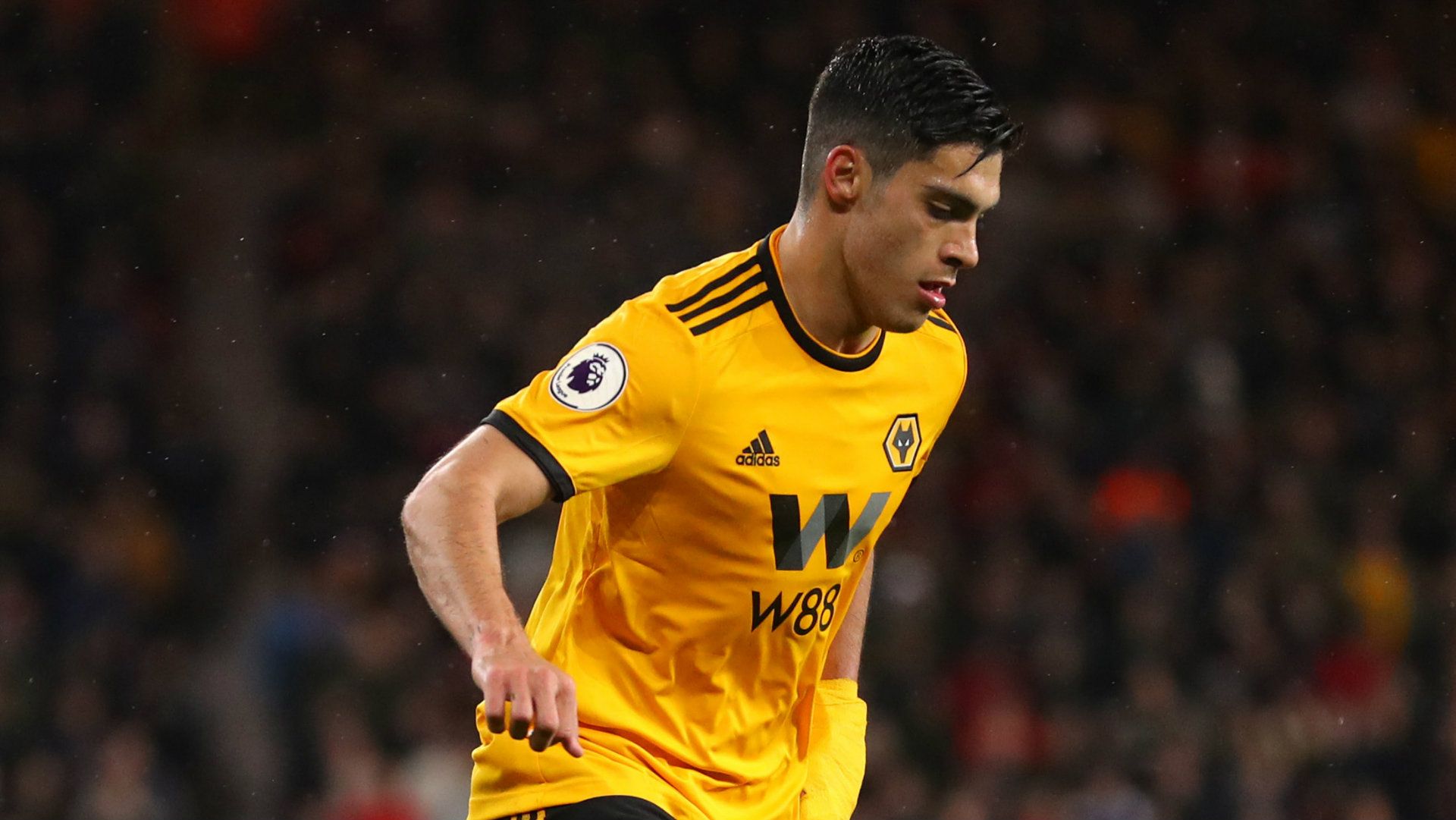 Raúl Jiménez Wolves 040419