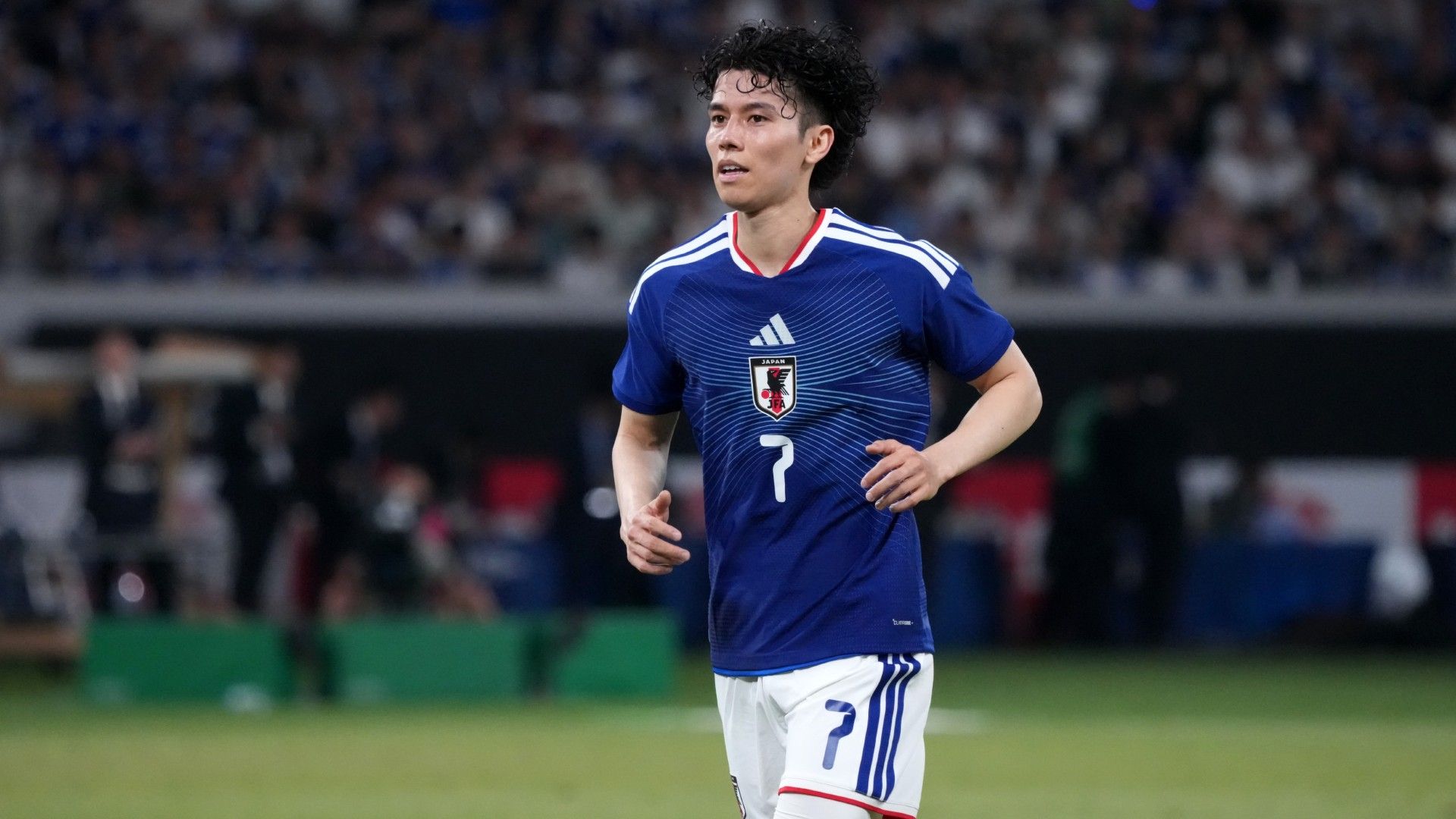 ao tanaka-japan-20260531