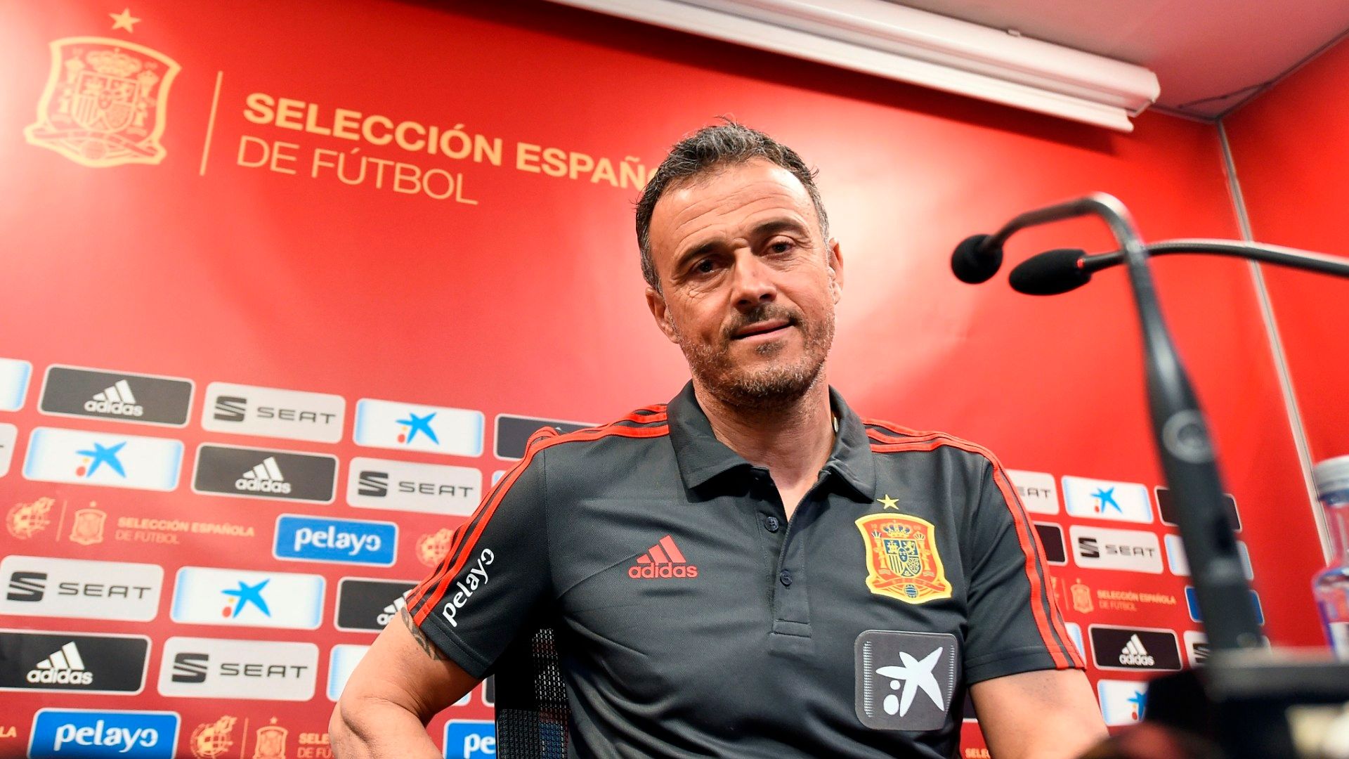 Luis Enrique
