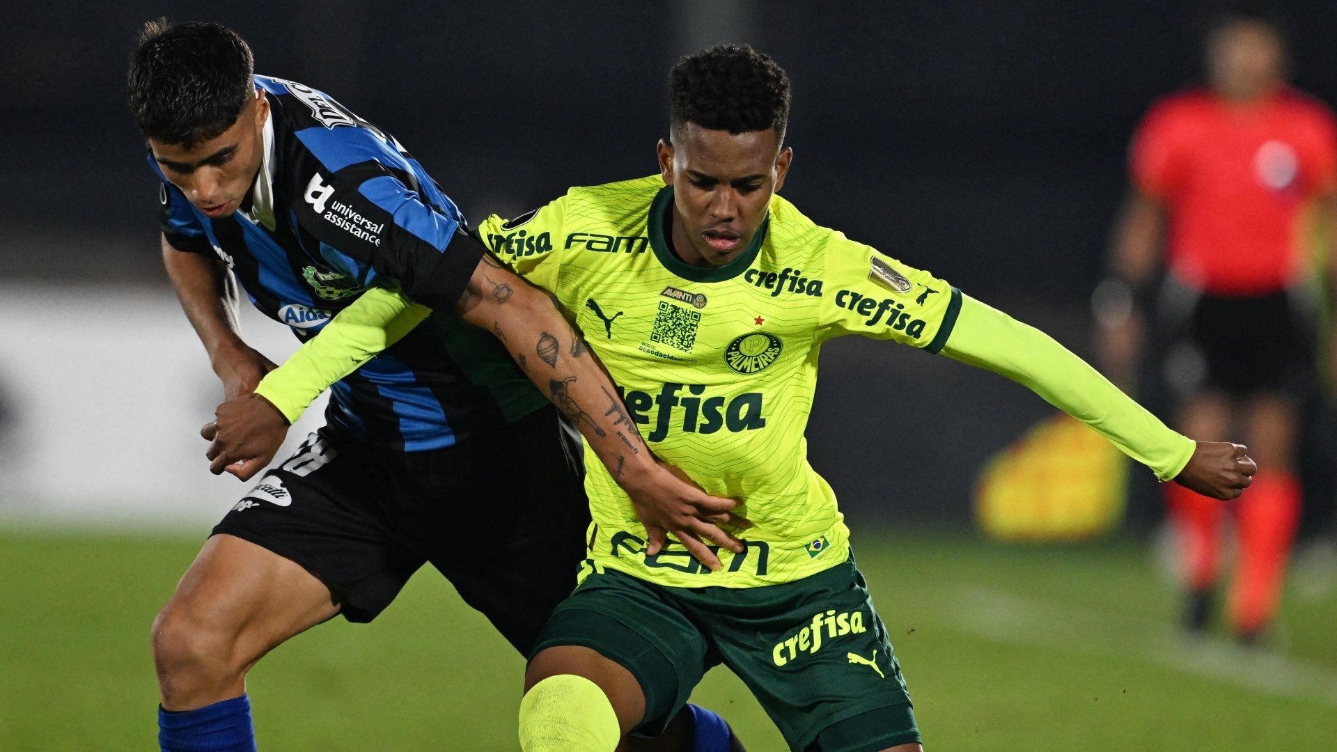 Estevao Willian Palmeiras 2024