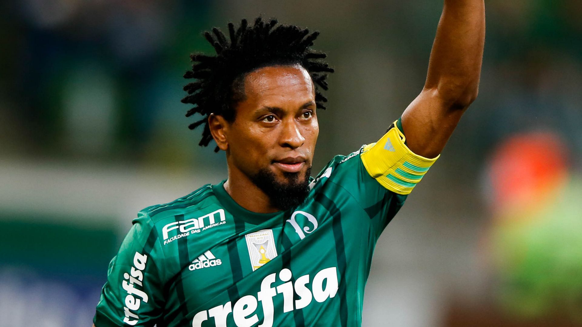 Ze Roberto Palmeiras Botafogo Brasileirao Serie A 27112017