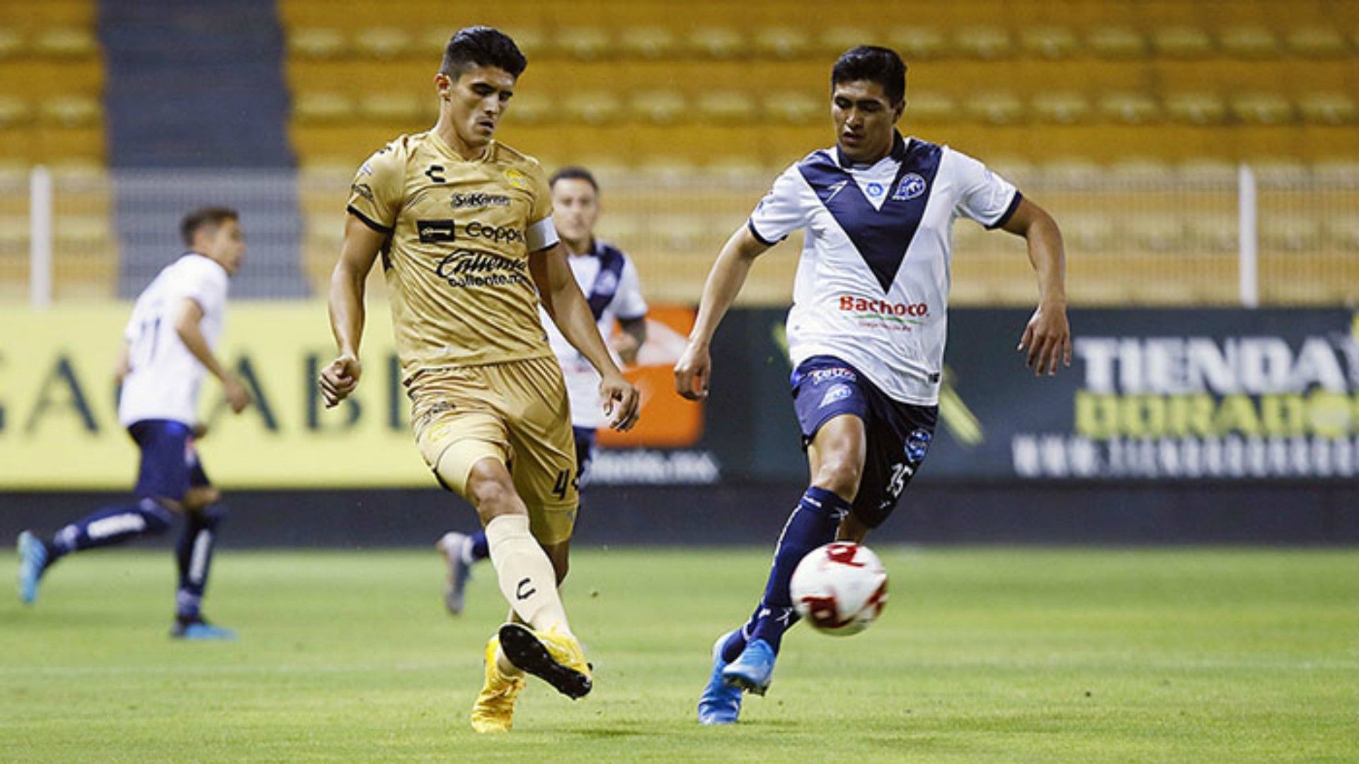 Dorados Celaya Liga de Expansión MX