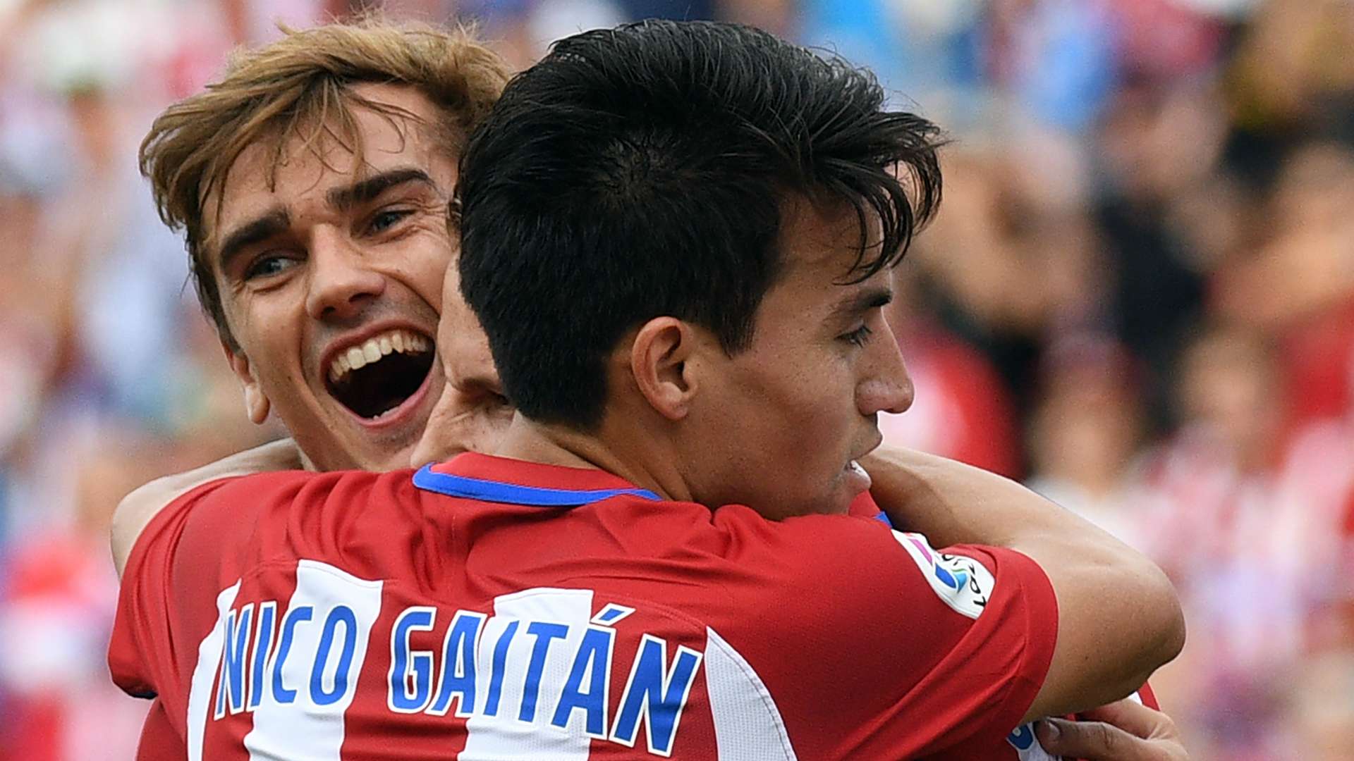 bvbefzvs2lux1wjlghq3m5yjg