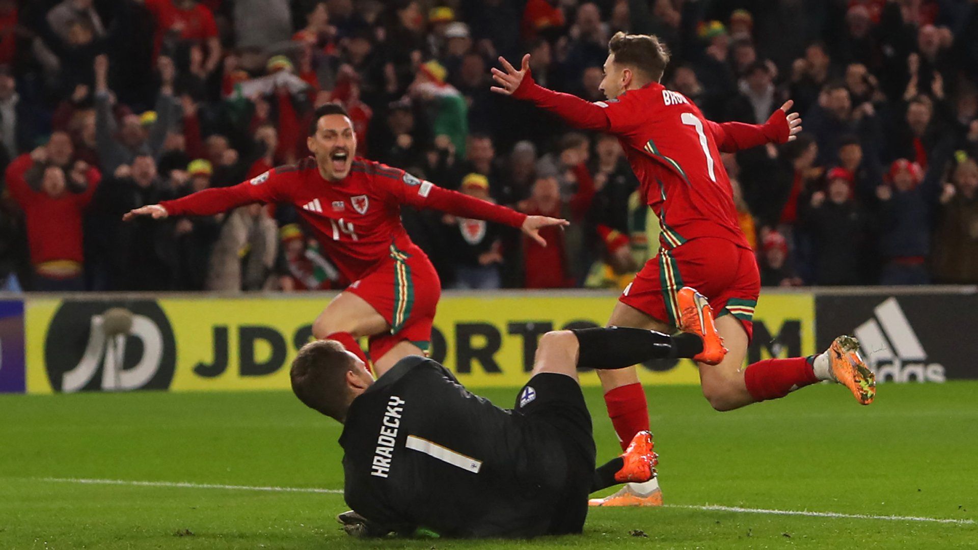 David Brooks Wales Finland 2024