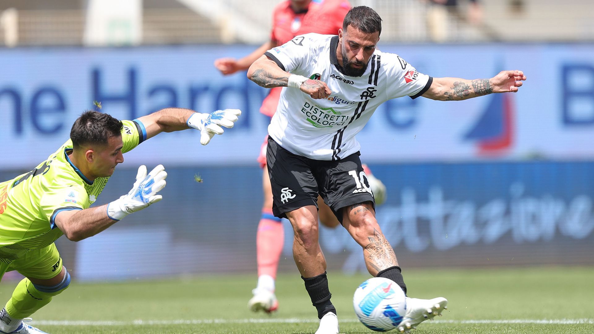 Daniele Verde Spezia Atalanta Serie A