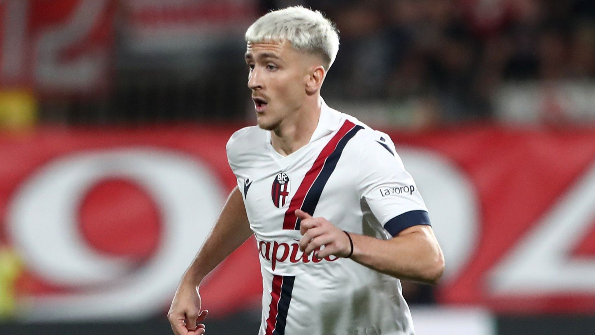 Saelemaekers Bologna