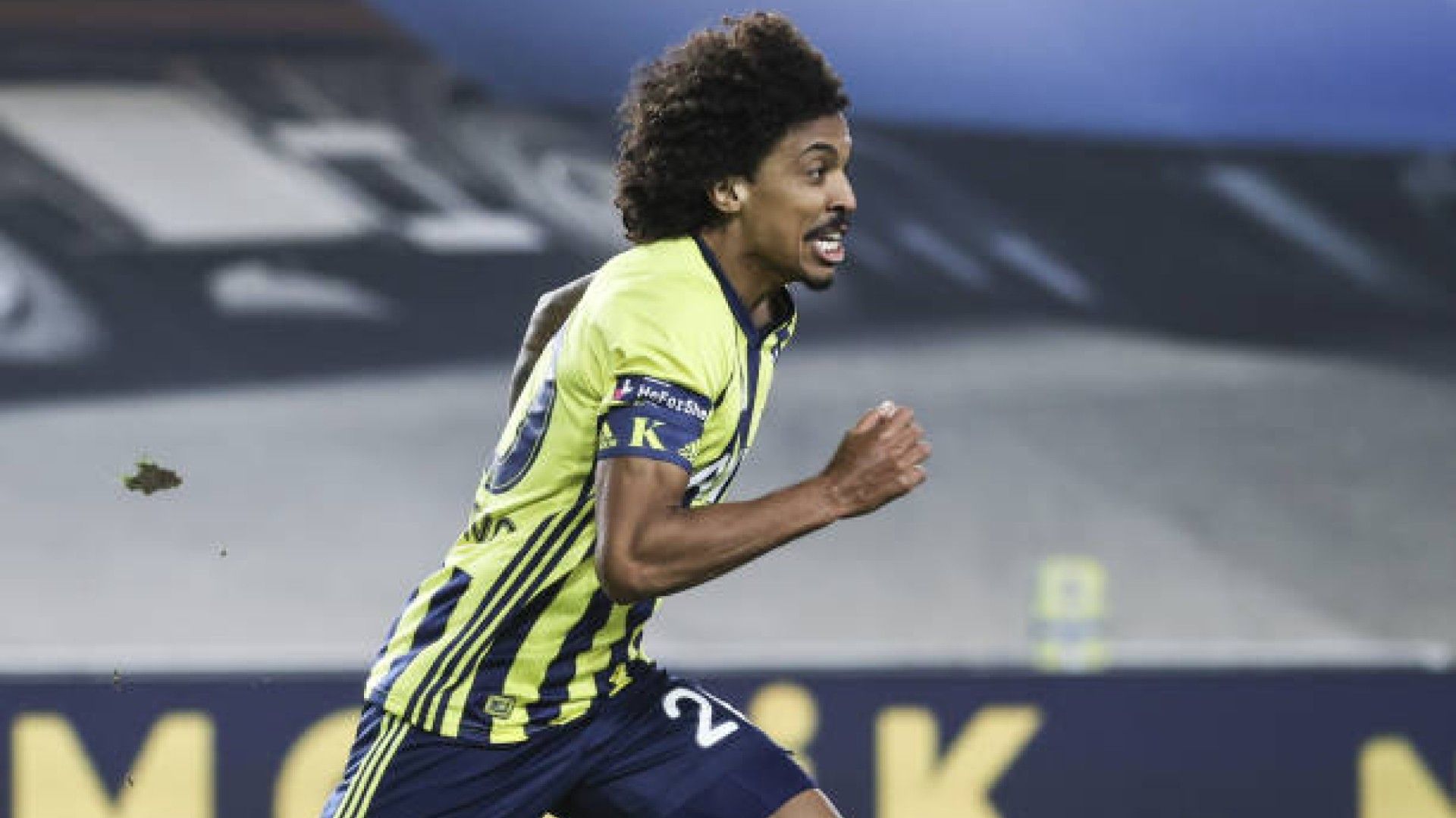 Luiz Gustavo Fenerbahce