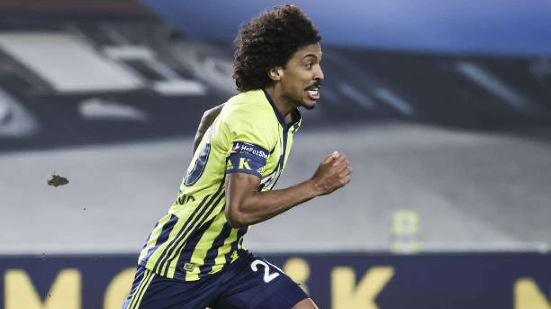 Luiz Gustavo Fenerbahce