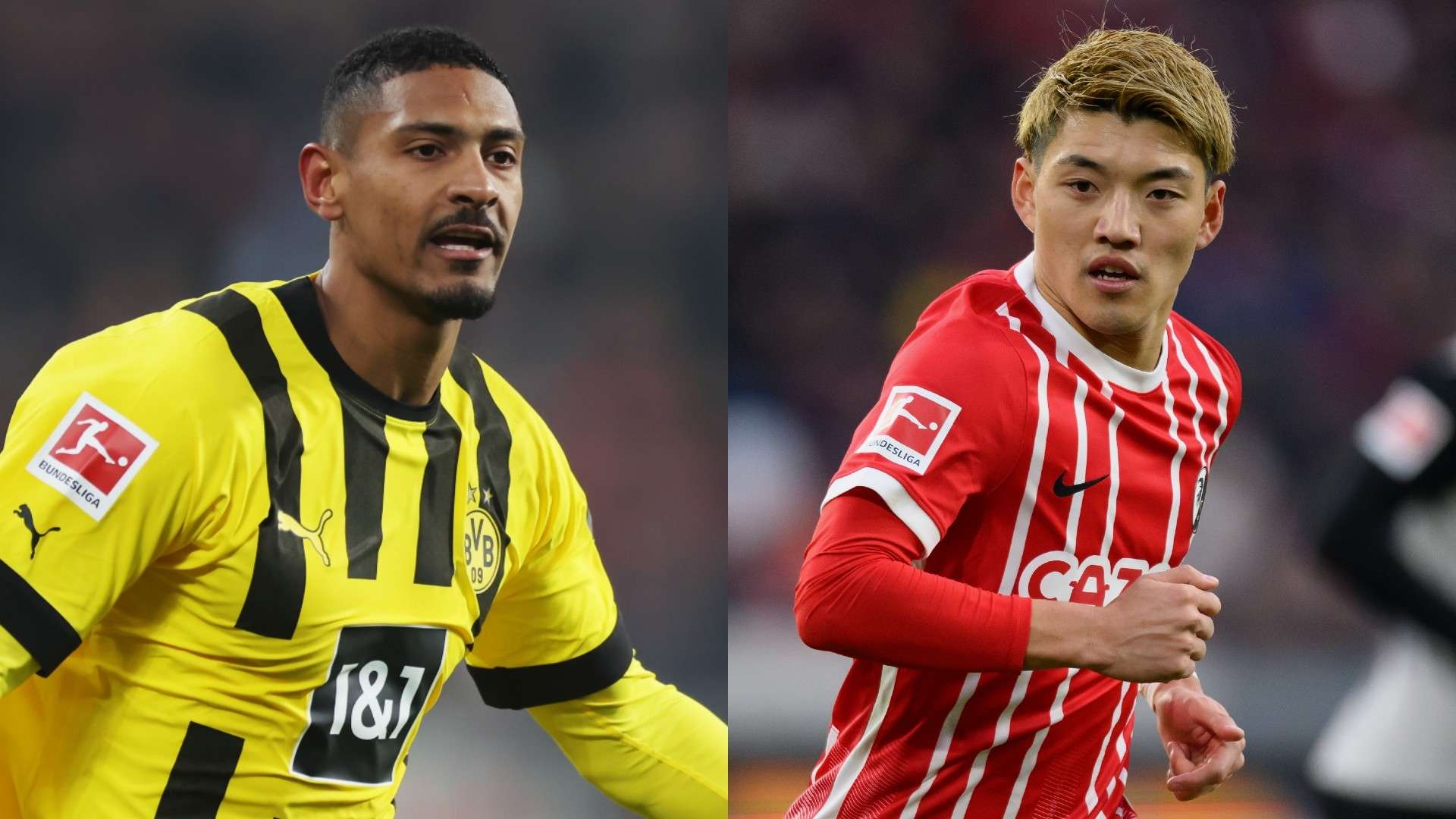 MP_Sebastien Haller_dortmund vs doan_freiburg