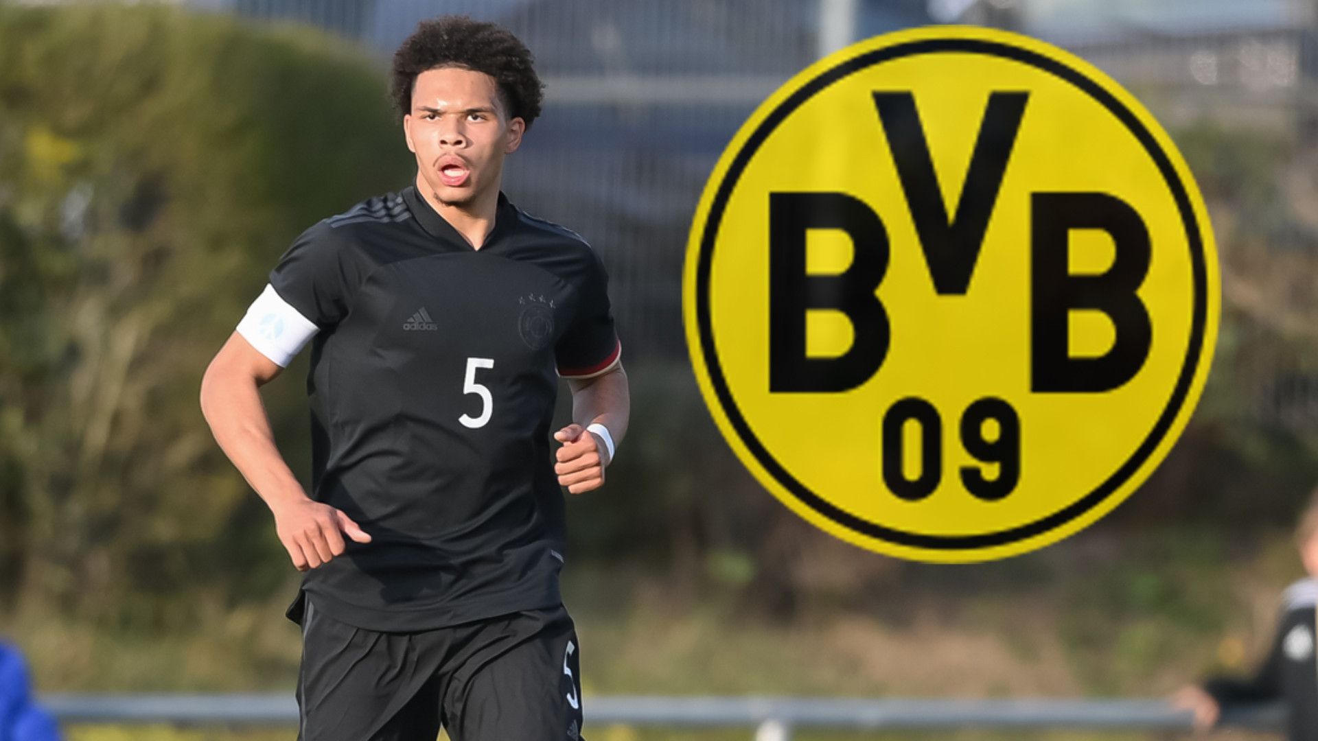 GFX BVB