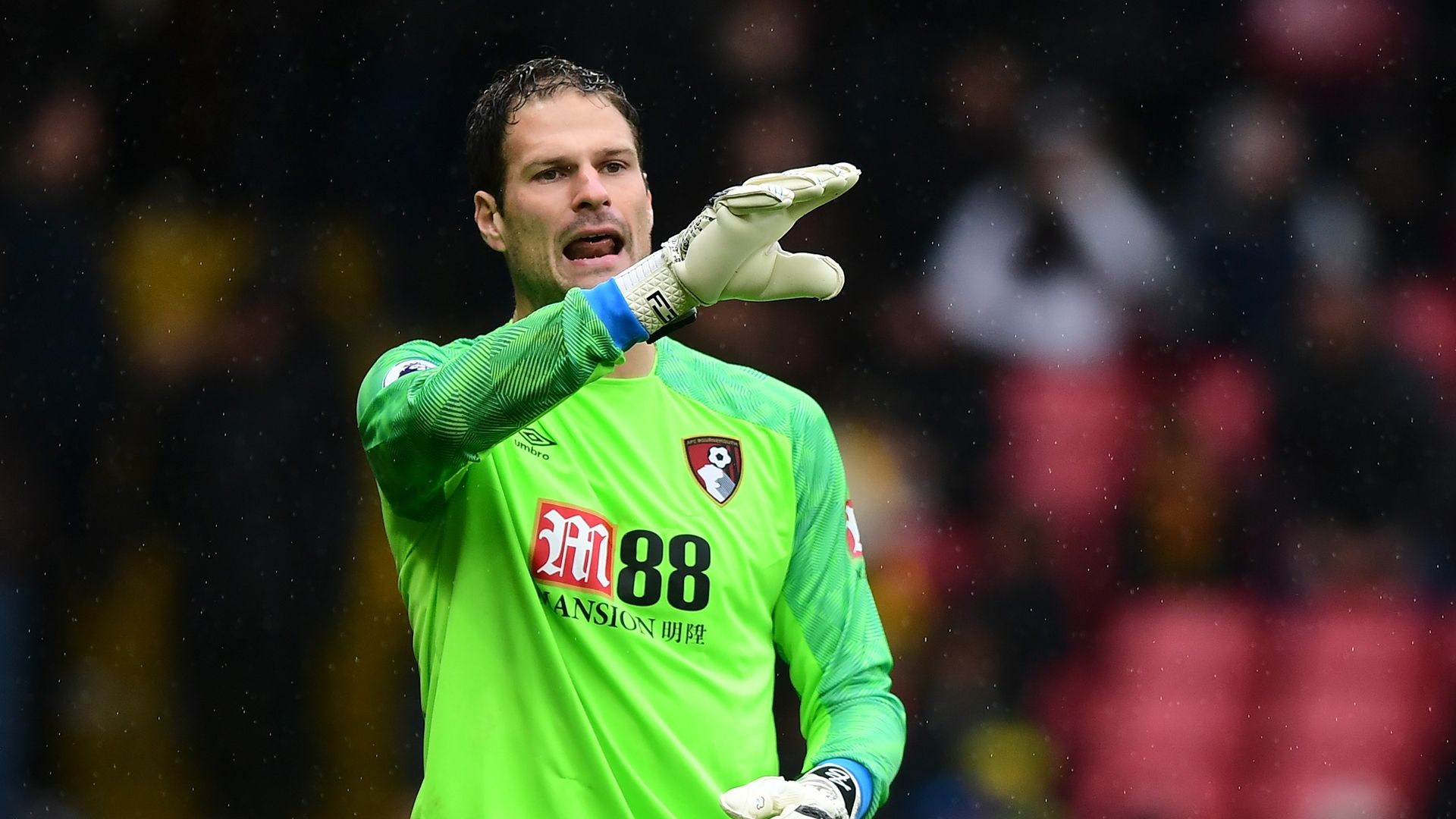 2019_8_29_Begovic
