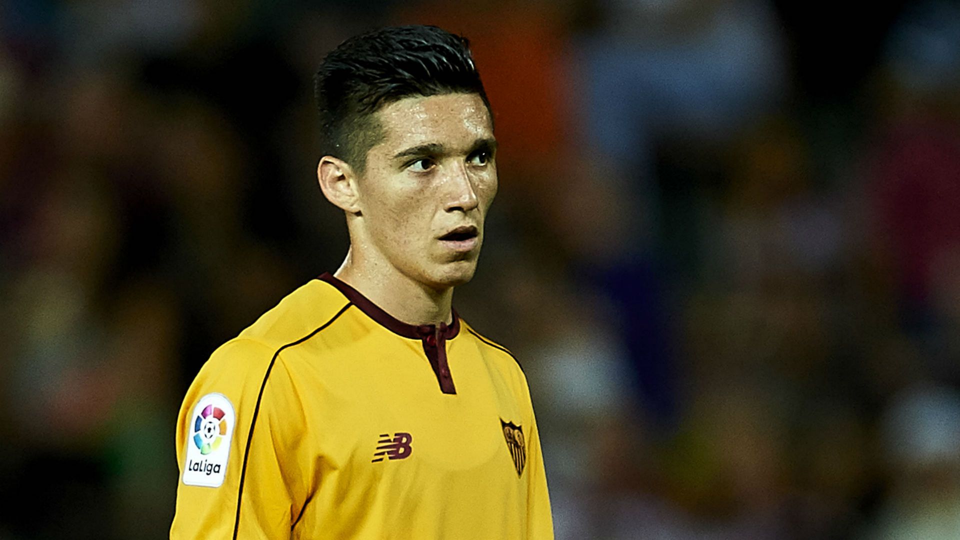 kranevitter - CROPPED