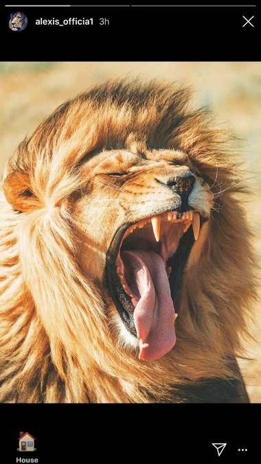 Alexis Sánchez Instagram