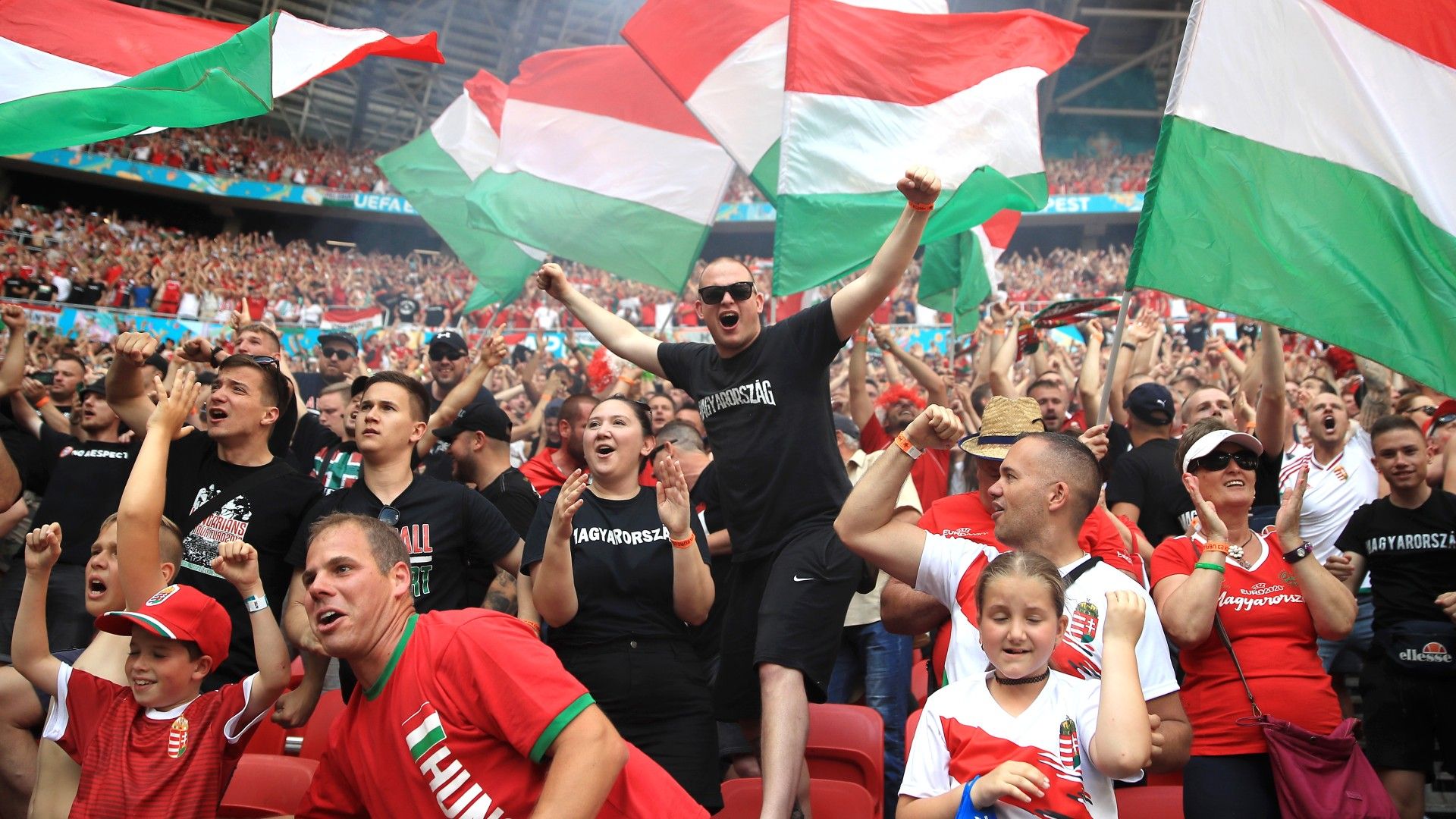Hungary France fans