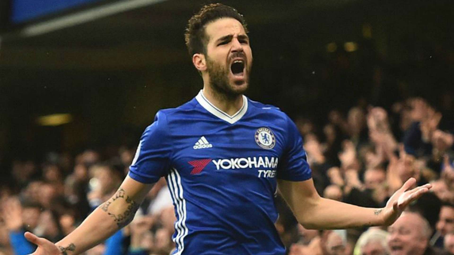 Cesc Fabregas Chelsea
