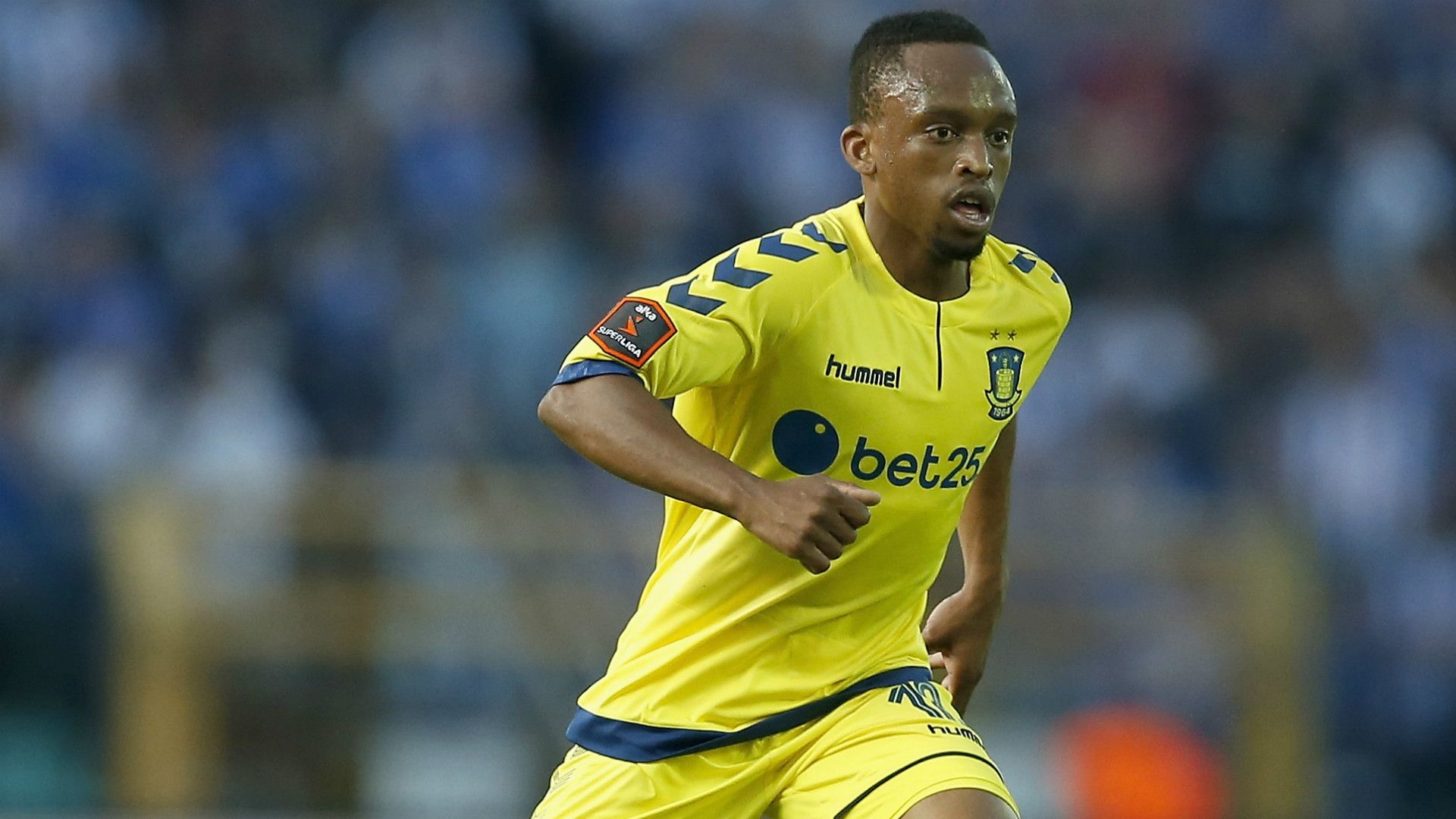 1rgky4mmz8qh01p9jaq8mv1b7b