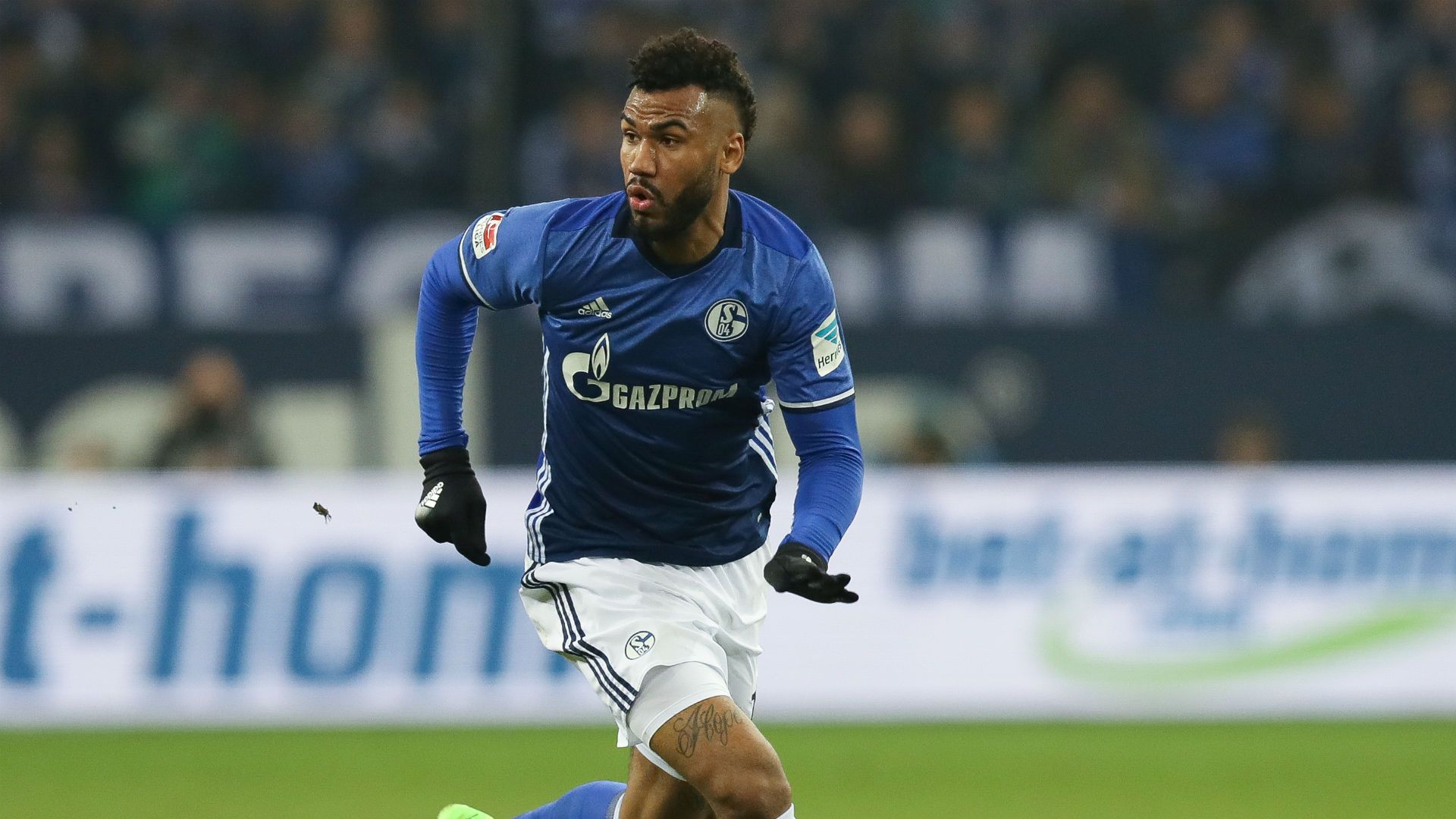Eric MAxim Choupo-Moting FC Schalke 04 27012017