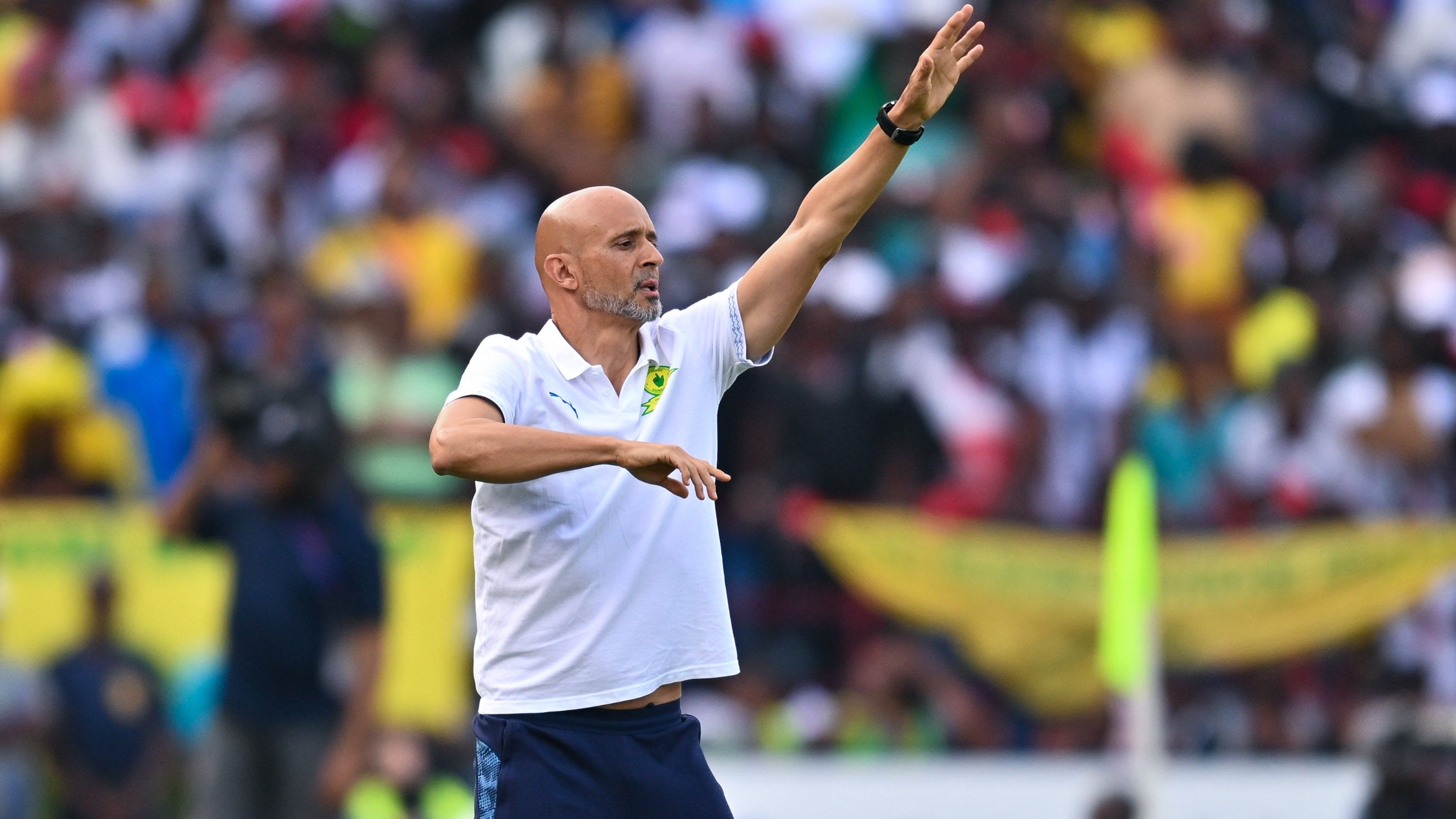 Miguel Cardoso, Mamelodi Sundowns, November 2025