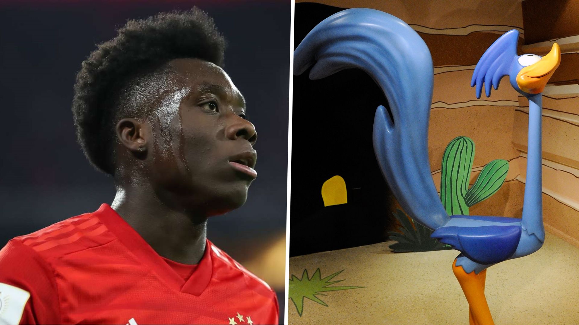 Alphonso Davies Road Runner