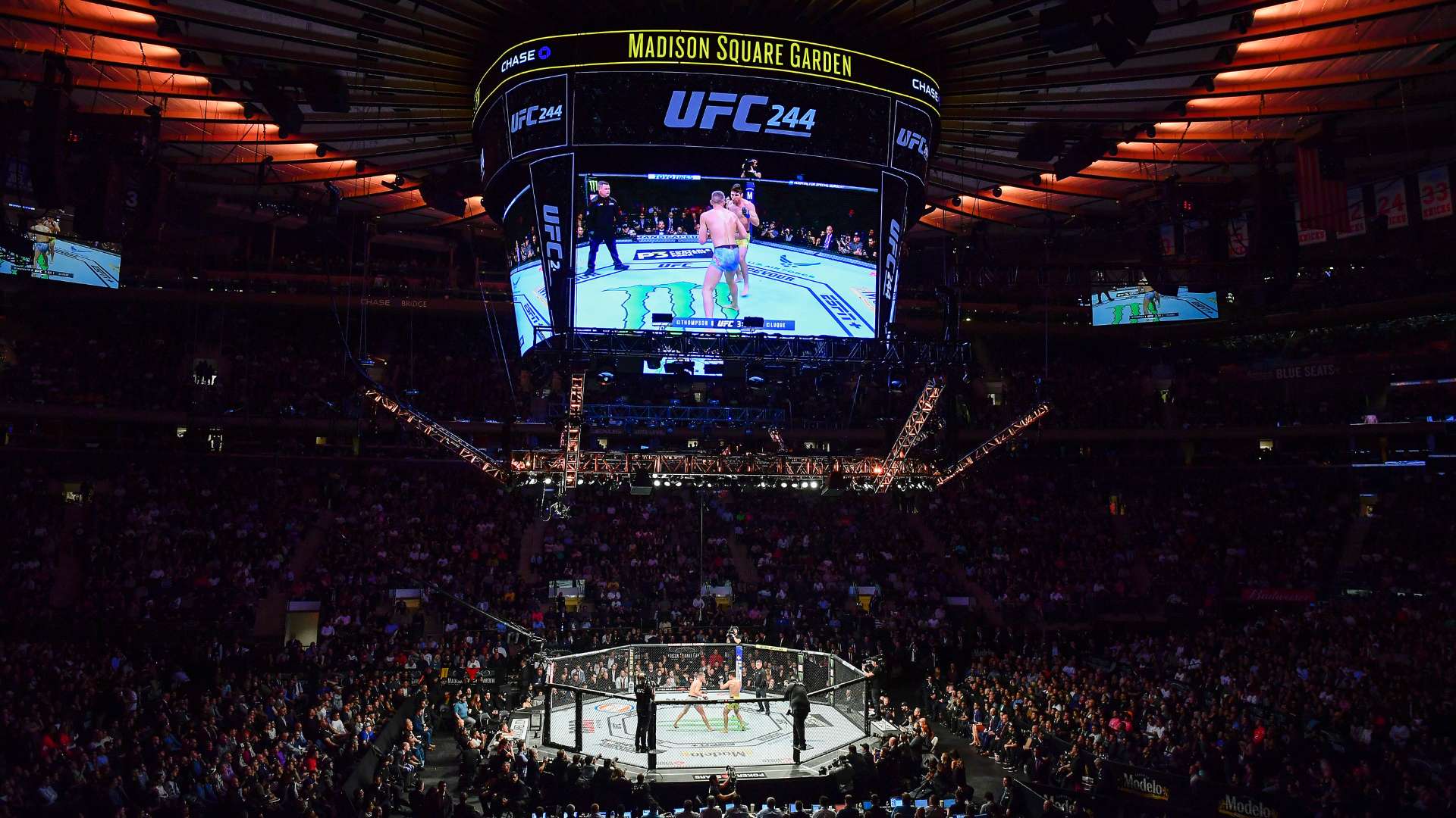 Madison Square Garden UFC