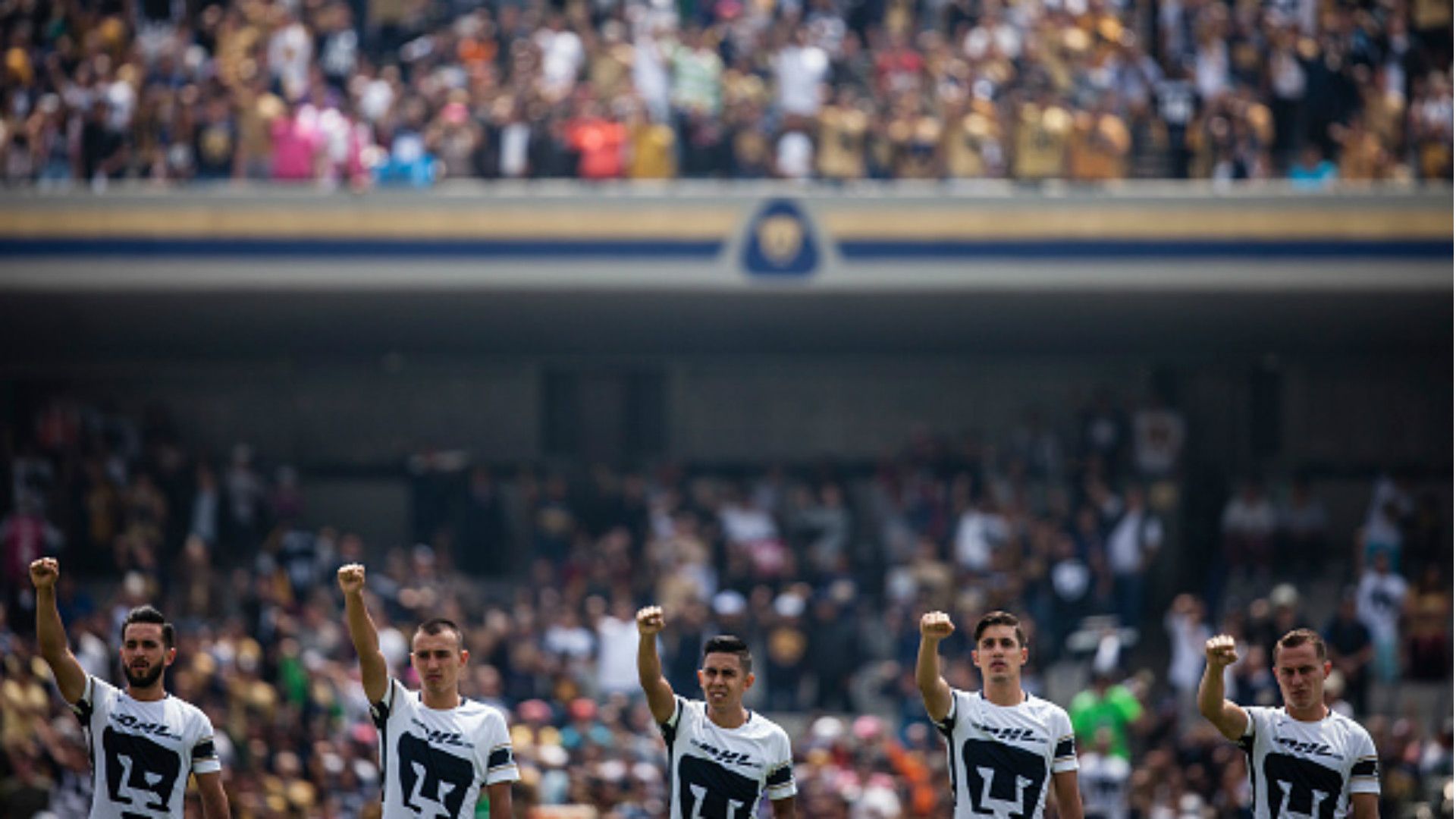 Pumas