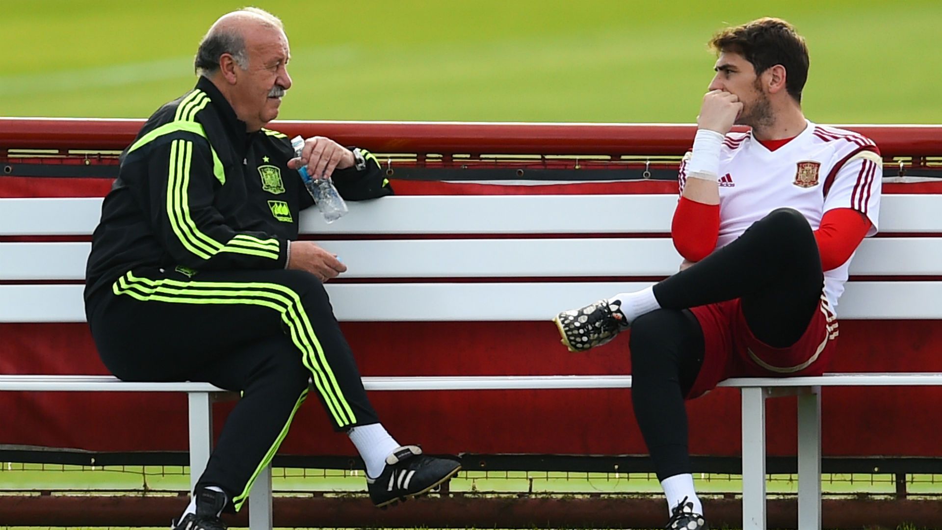 VicenteDelBosque - cropped