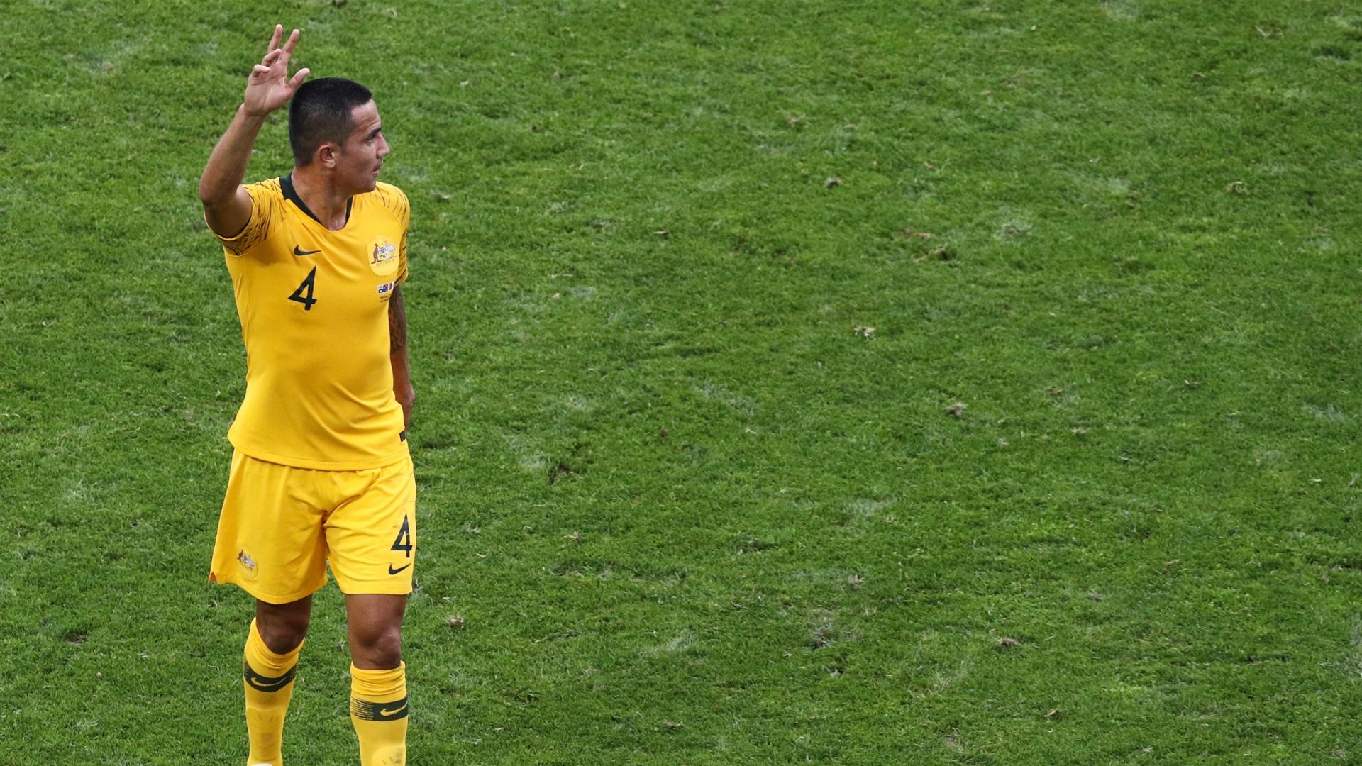 Tim Cahill Socceroos