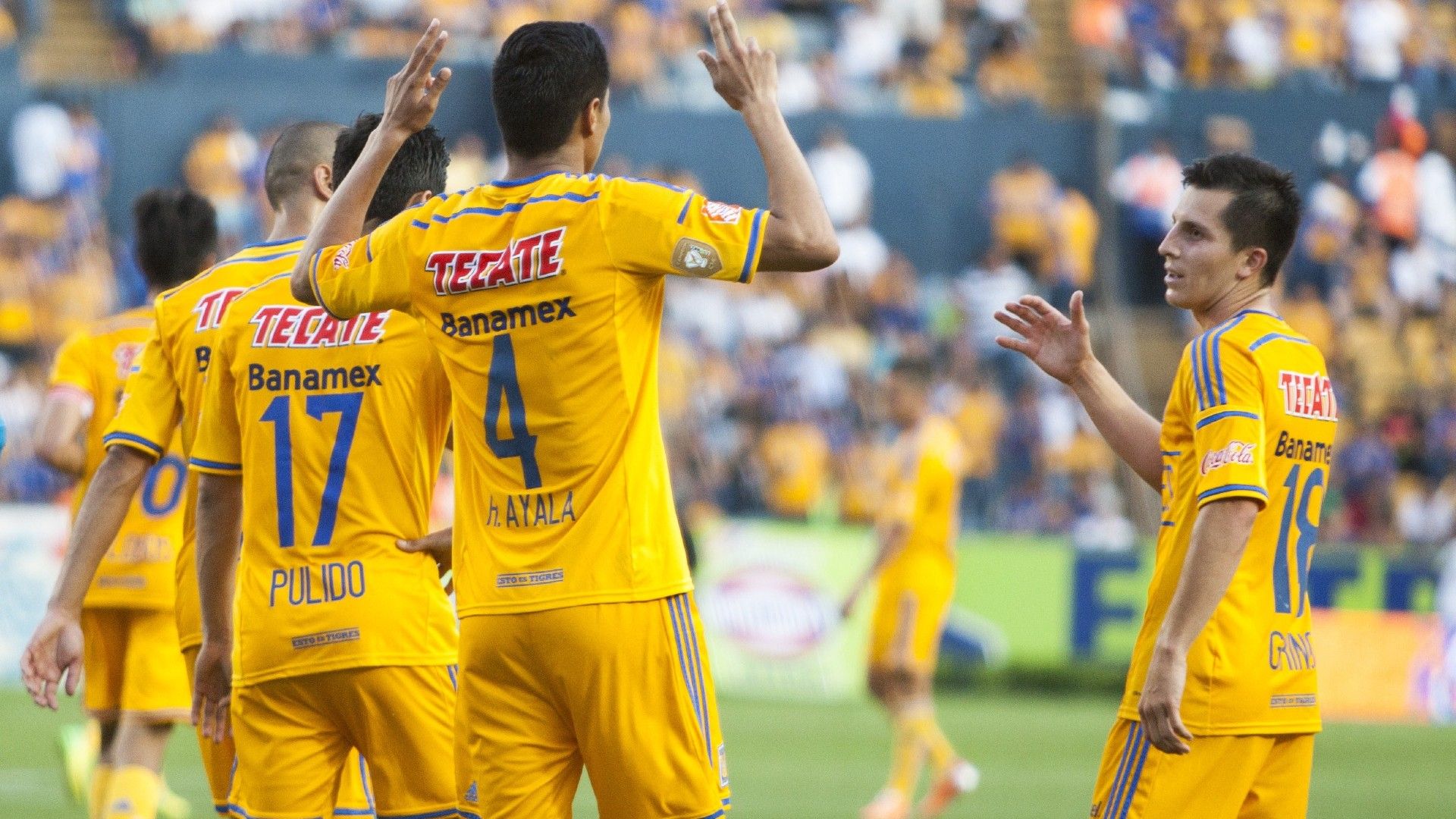 Tigres Clausura 2014 Liga MX
