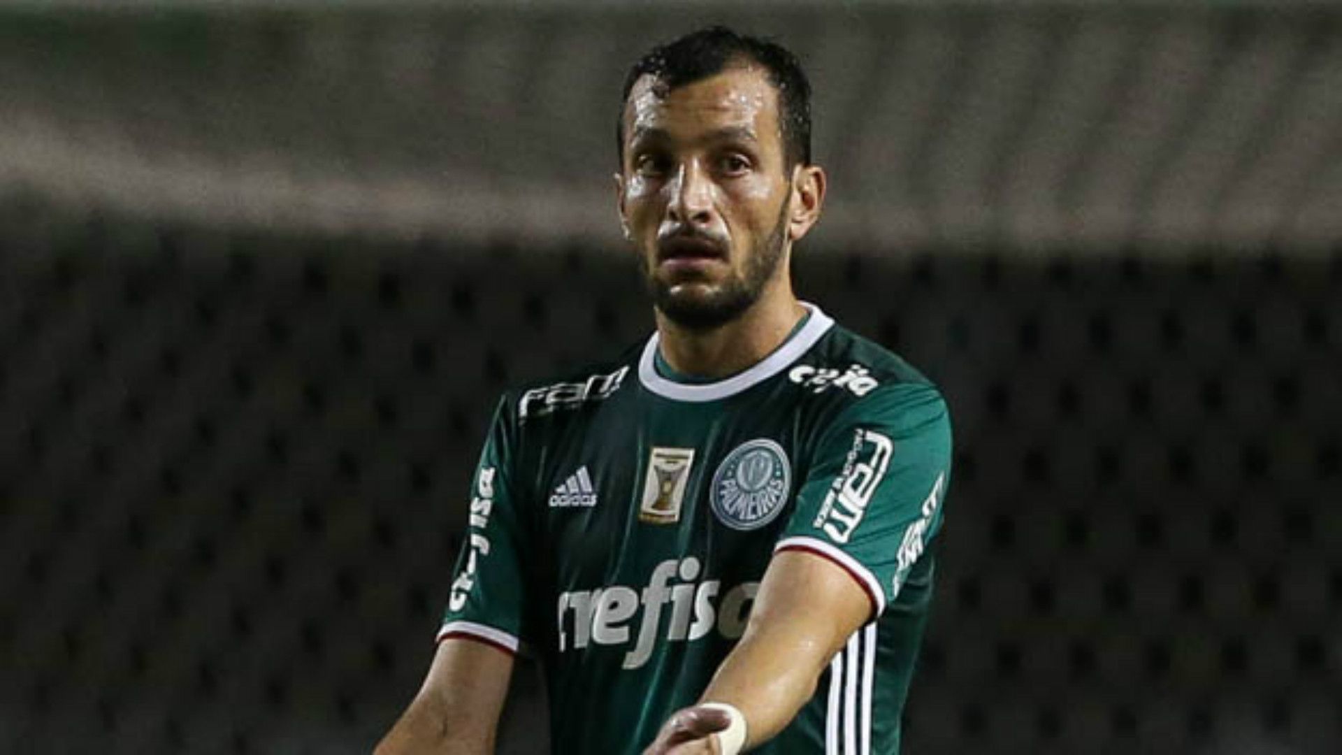 Edu Dracena - Palmeiras - 7/04/2017