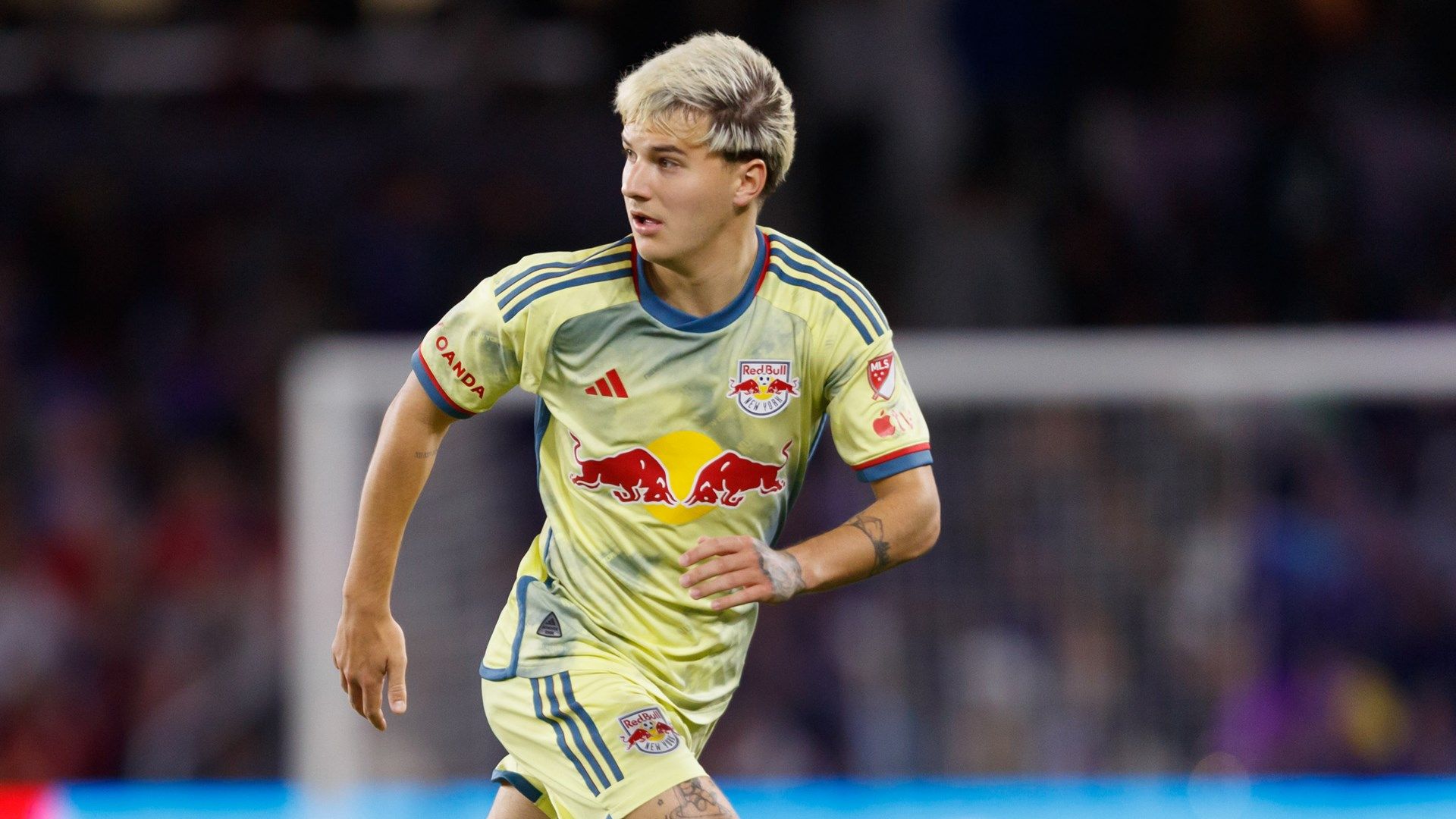 John Tolkin RBNY 2024