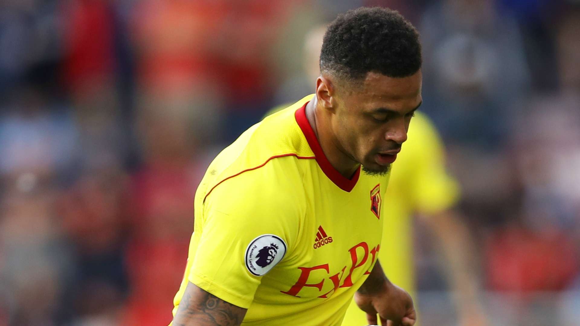 Gray Watford Premier League