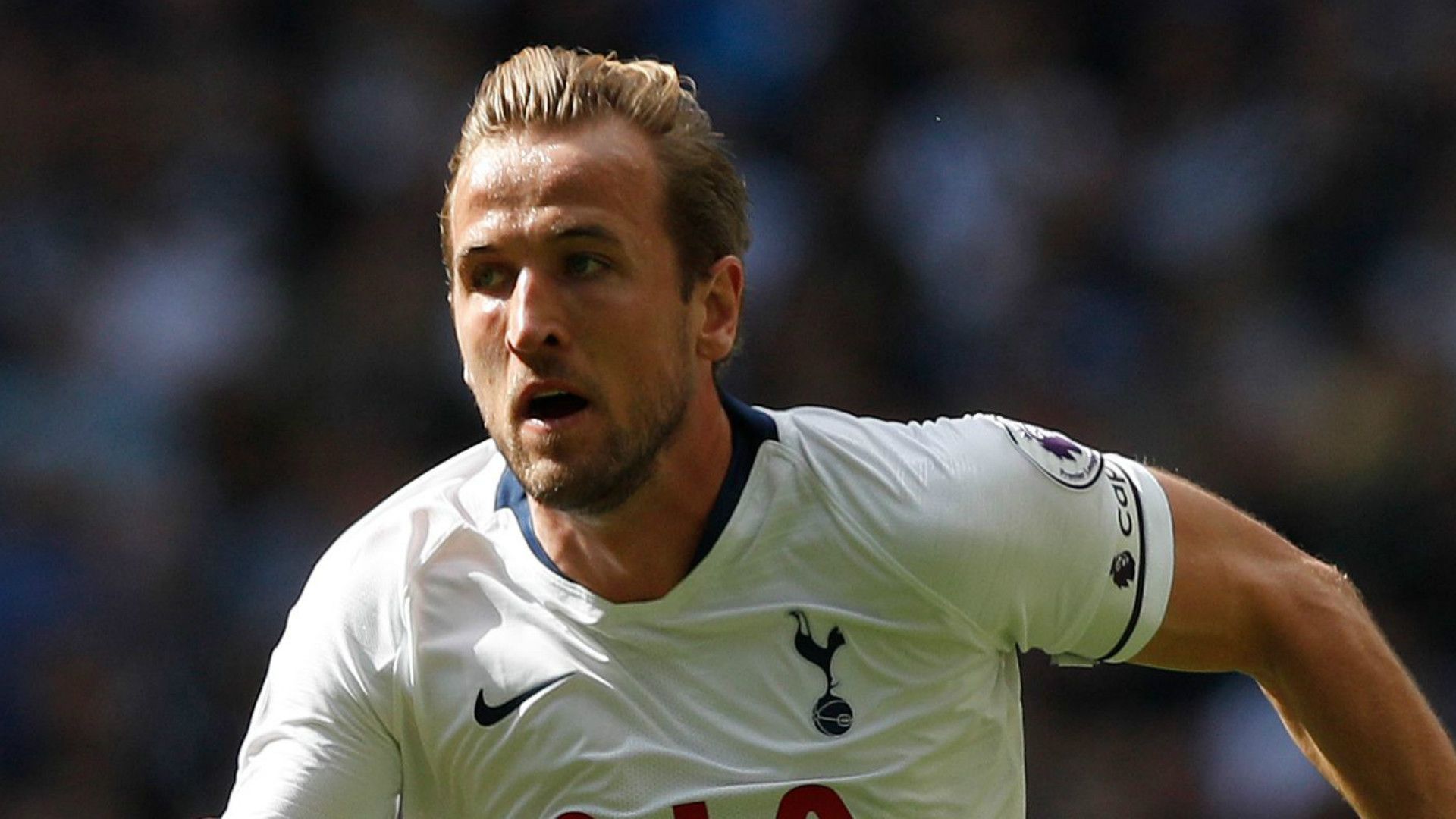 Harry Kane Tottenham 2018-19