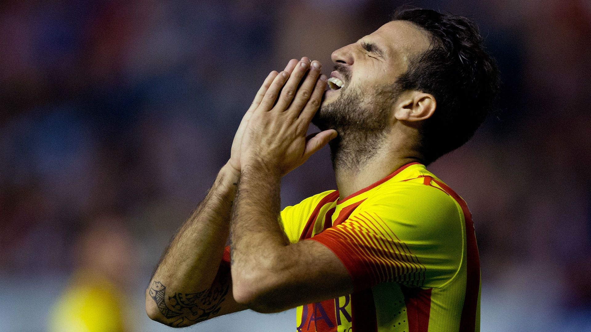 Cesc Fabregas - Barcelona
