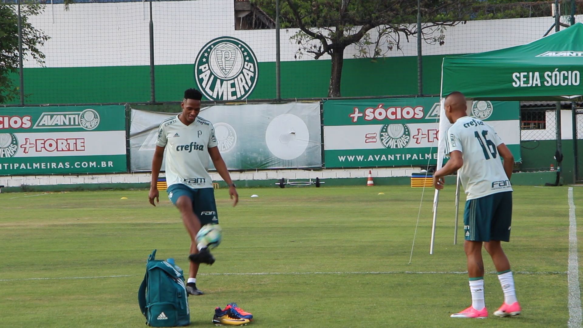 mina_palmeiras