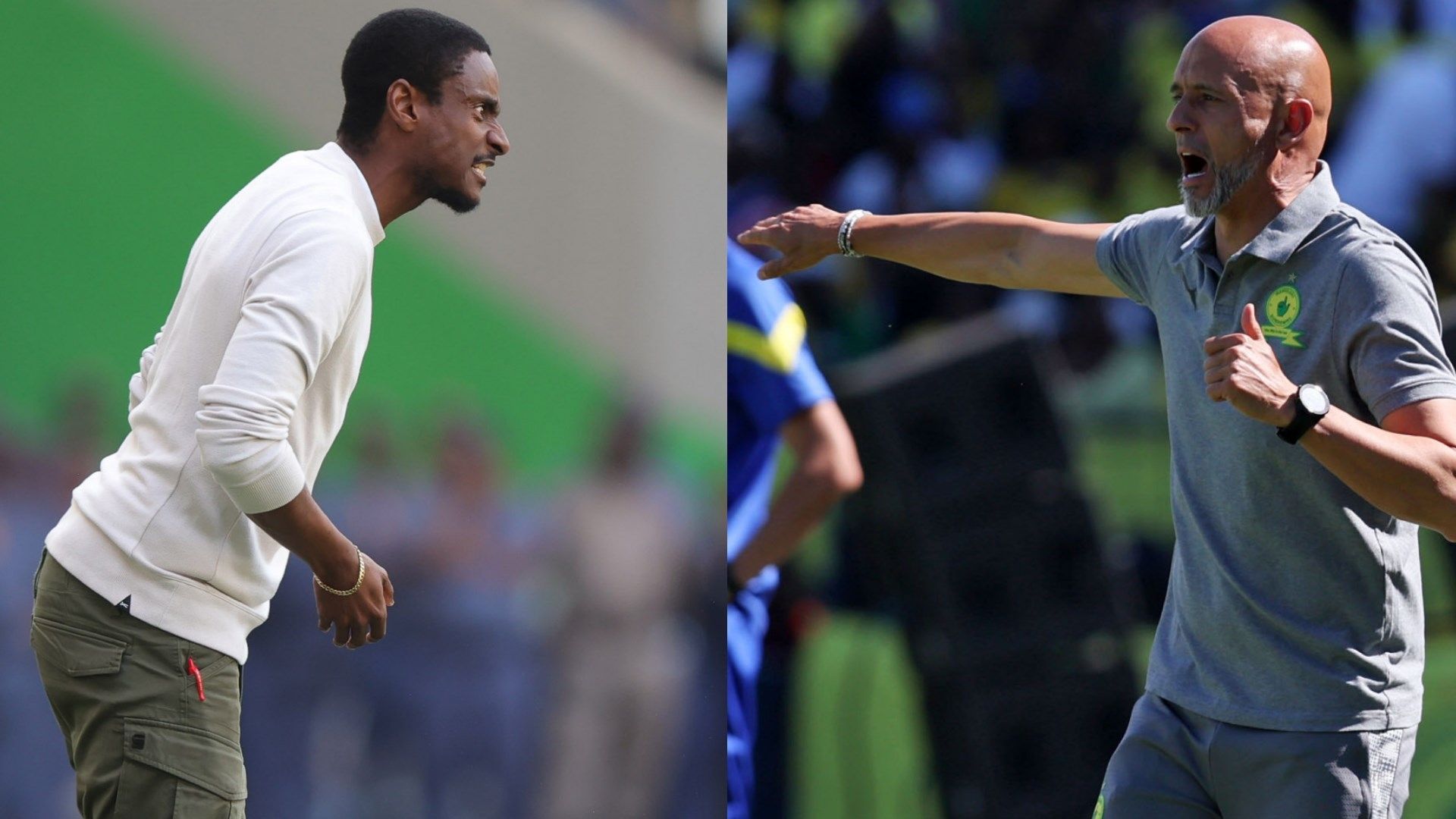 Rhulani Mokwena and Miguel Cardoso, MC Alger vs Mamelodi Sundowns